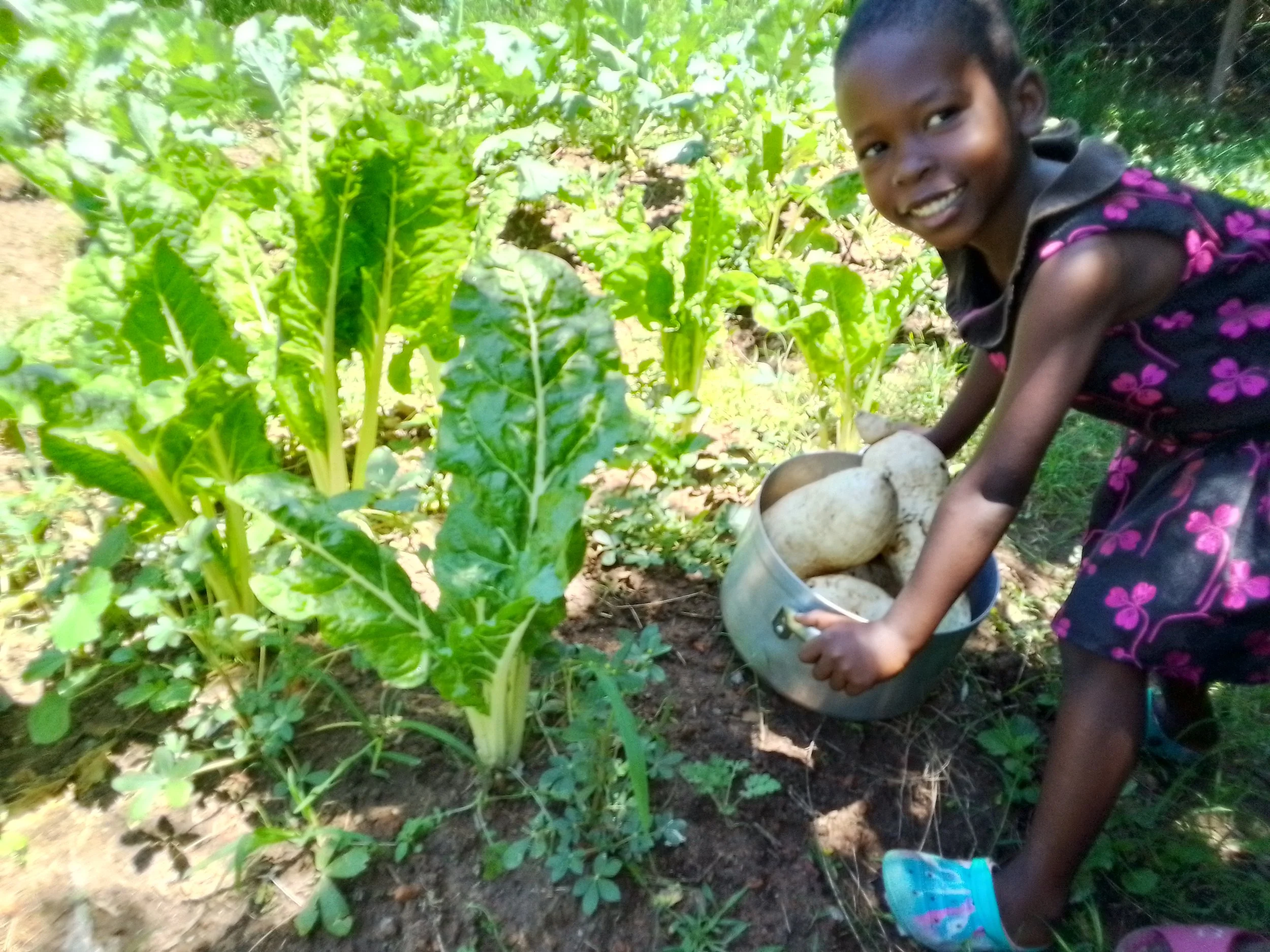 Sustainable agriculture in light of Climate Change