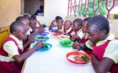 Healthy, sustainable, and adequate nutrition 