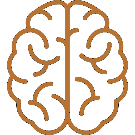 Outline drawing of a human brain in brown.