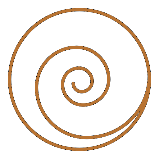 Brown spiral shell against a black background.