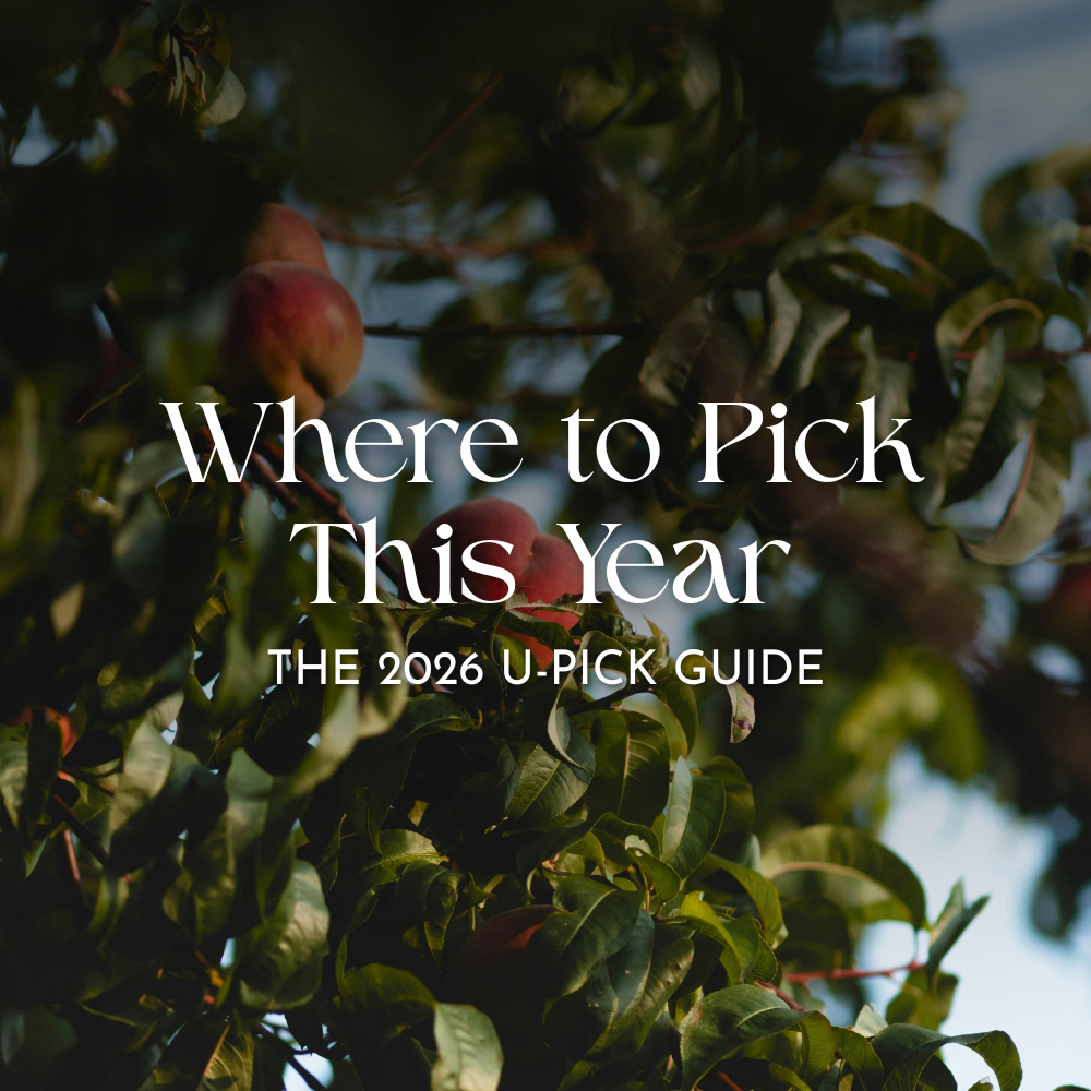 Where To Pick This Year: The 2026 U-Pick Guide.