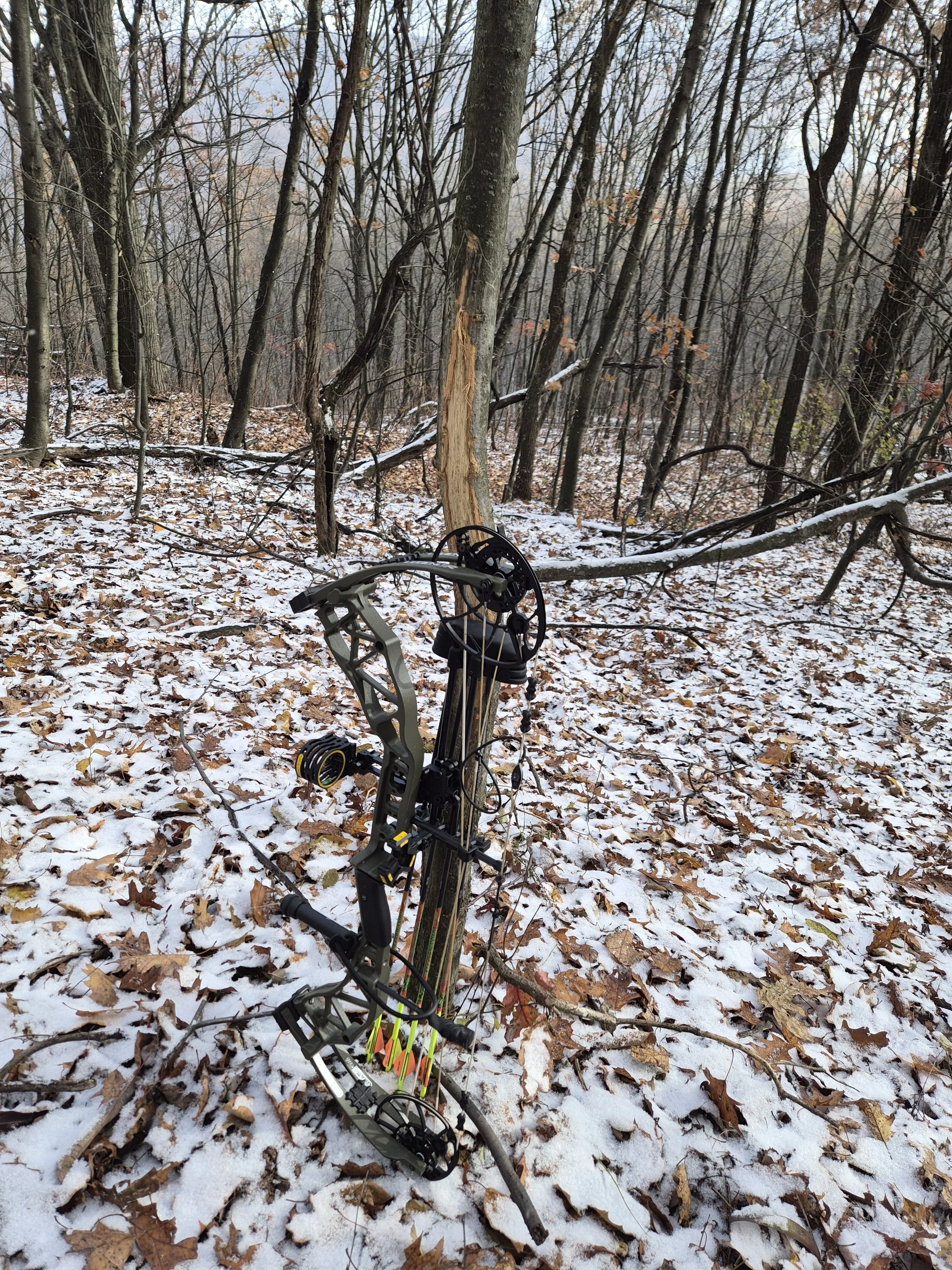 A compound bow with arrows on a snow-covered forest floor, leaning against a tree in a winter landscape.