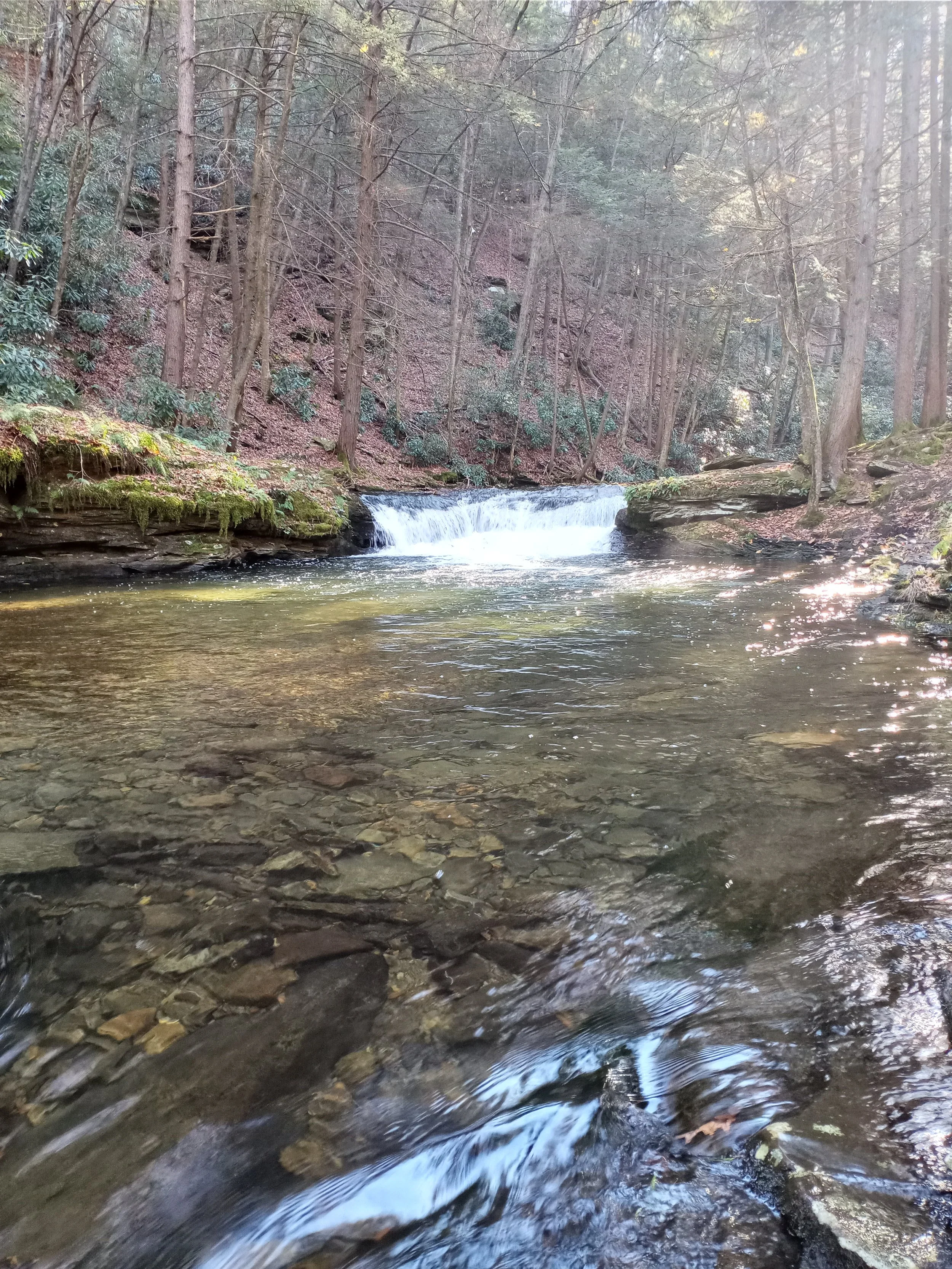 Bowhunting After Rifle Season on Pennsylvania Public Land: Smart Tactics That Still Work