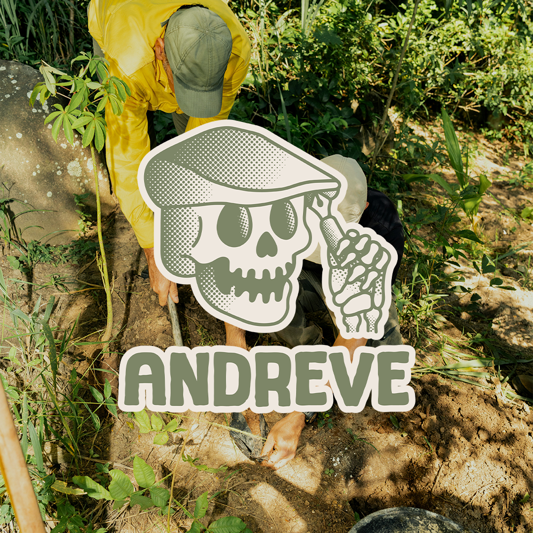 Andreve