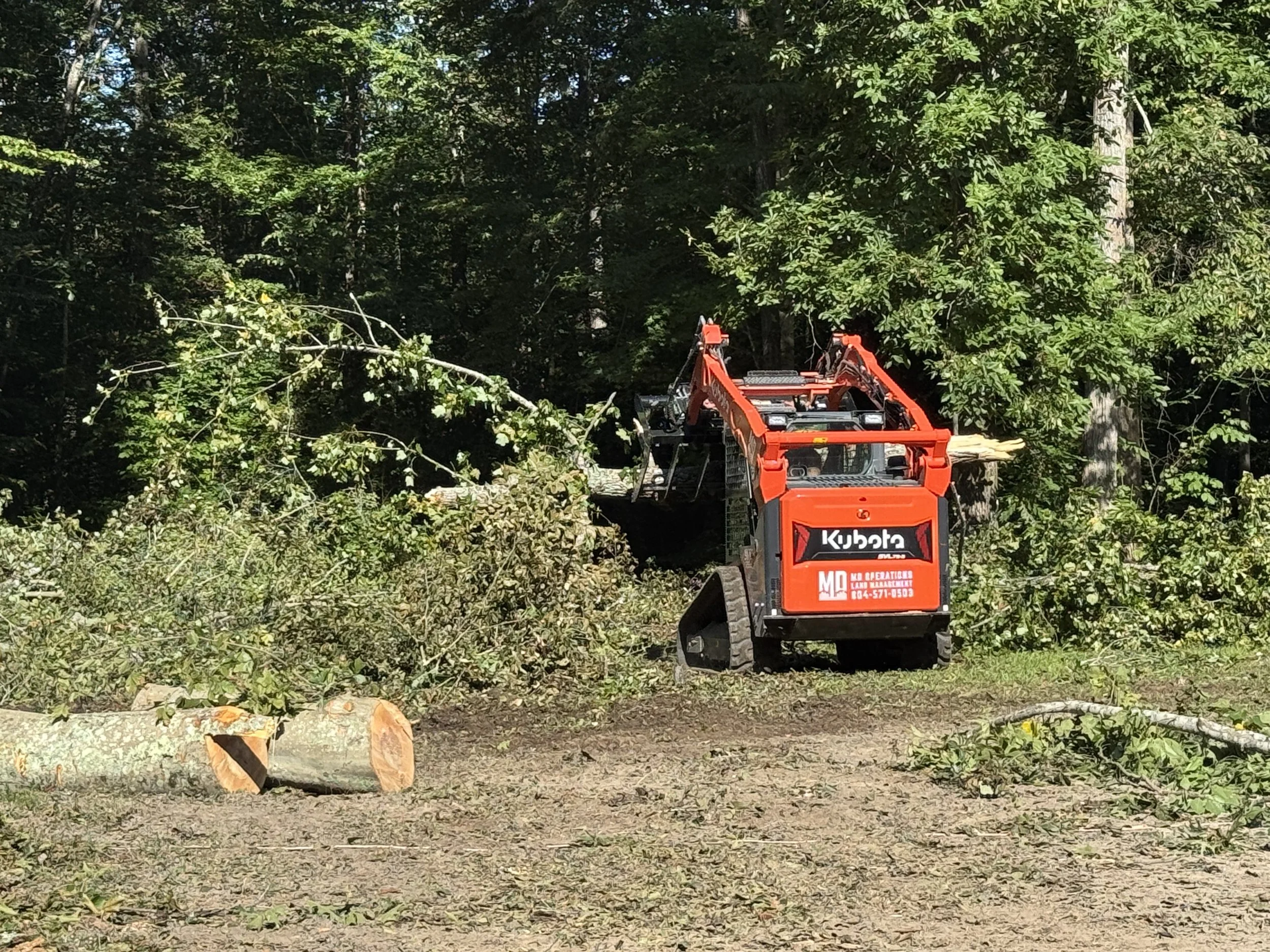 A red Kubota mini excavator is clearing fallen trees and branches in a wooded area, with a pile of cut logs on the ground nearby.