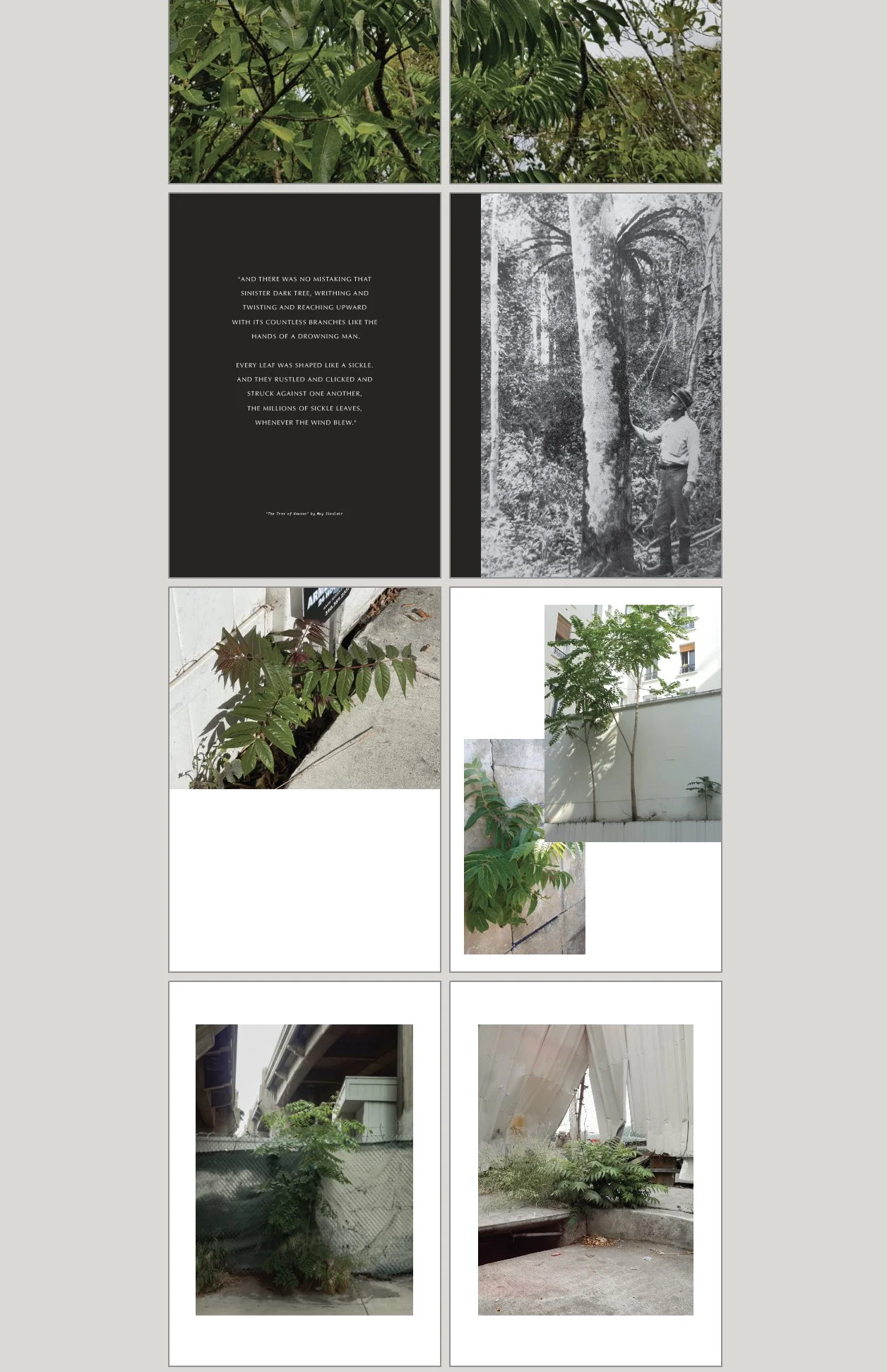 Screen Shot 2023-07-27 at 3.00.02 PM.jpg