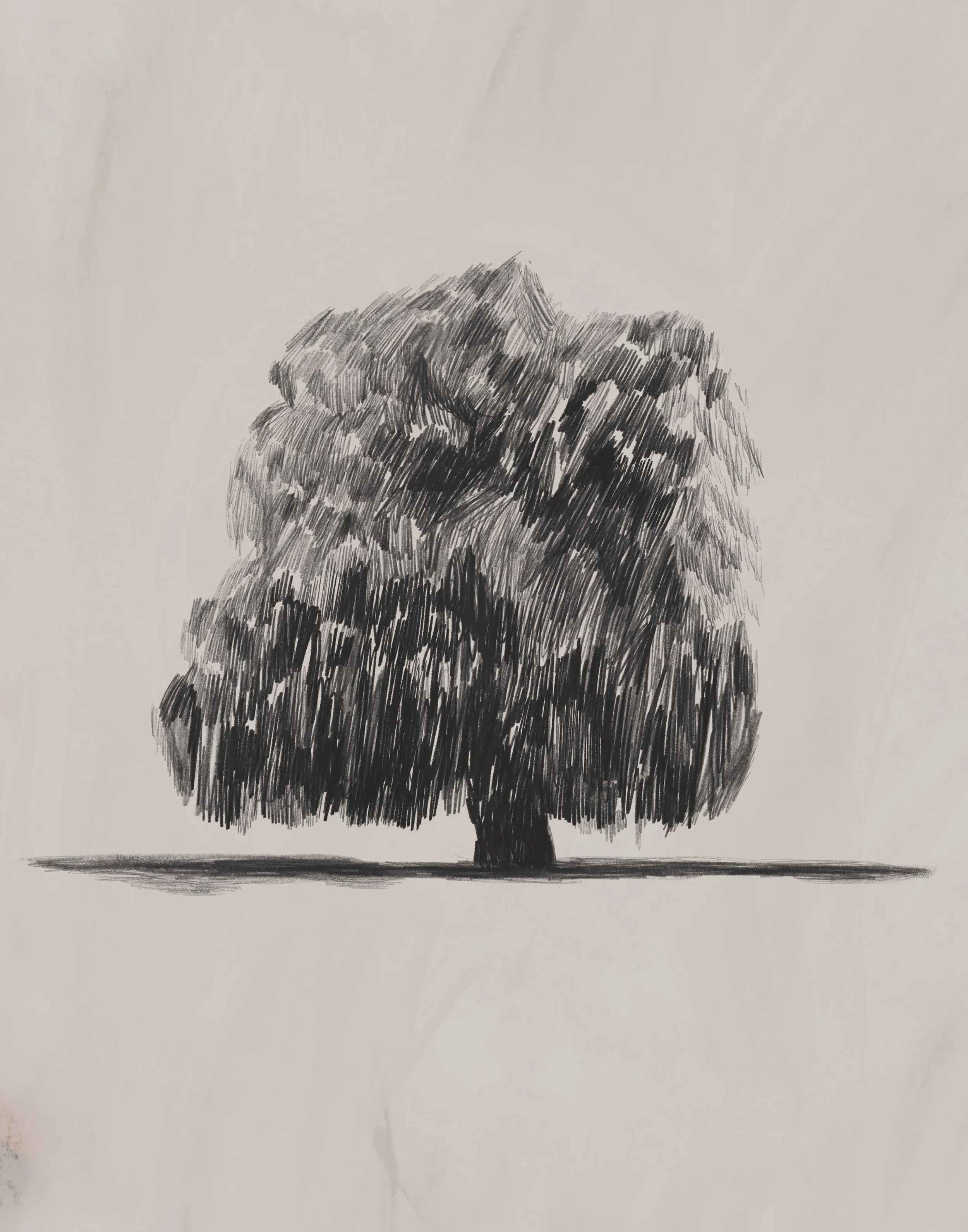 Untitled_Artwork 5.jpg