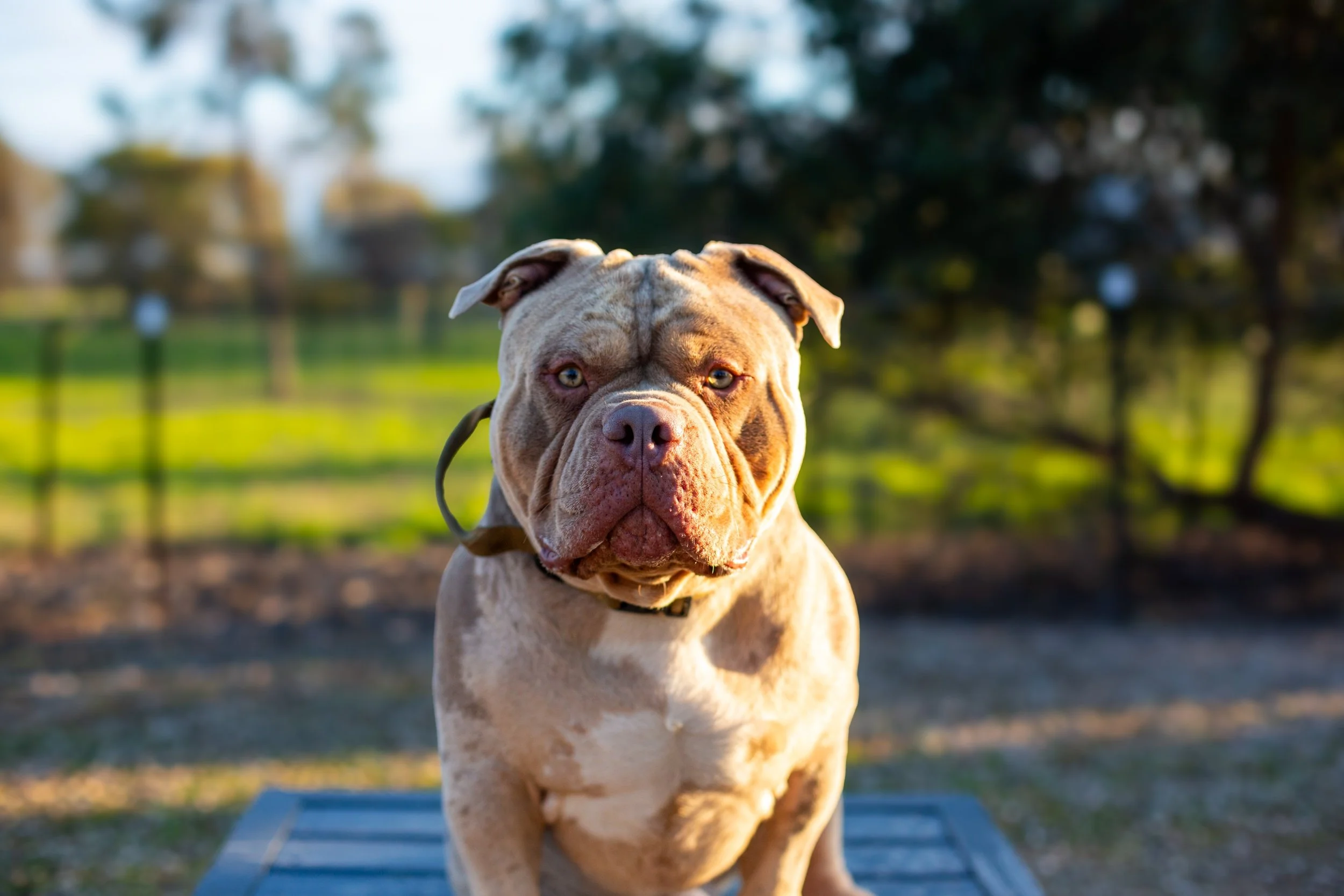 Signature Session - Most Popular