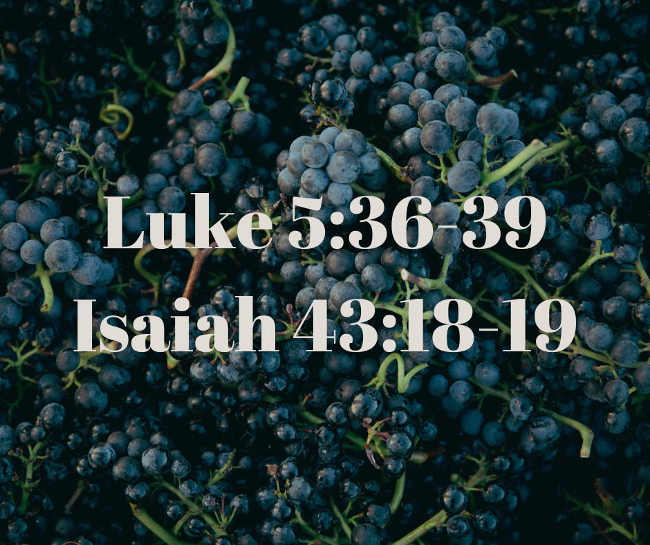 Close-up of dark purple grapes in a vineyard with passages from Luke and Isaiah overlayed.