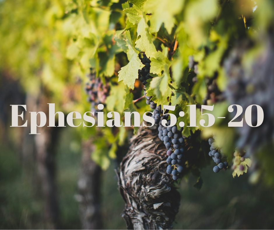 Close-up of a grapevine with purple grapes hanging from the vine, with sunlight filtering through green leaves. Text overlay says 'Ephesians'