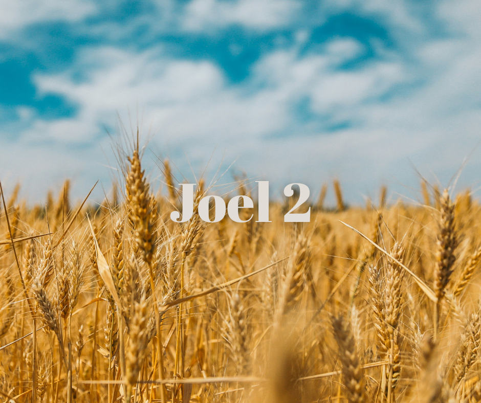 A vast wheat field with tall golden wheat stalks under a partly cloudy blue sky, text overlay says 'Joel 2'.