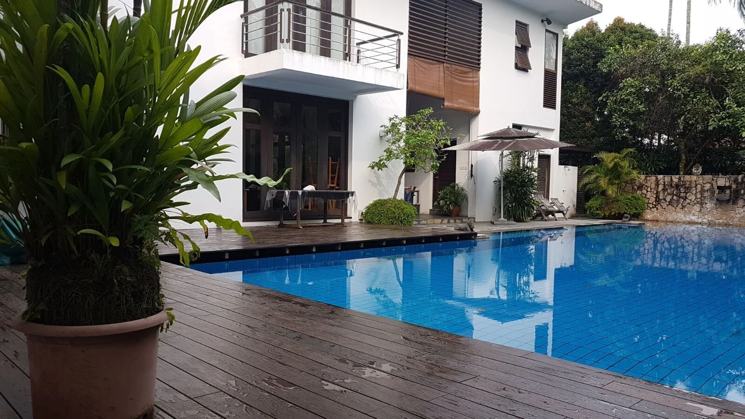 nbl+swimming+pool.jpg