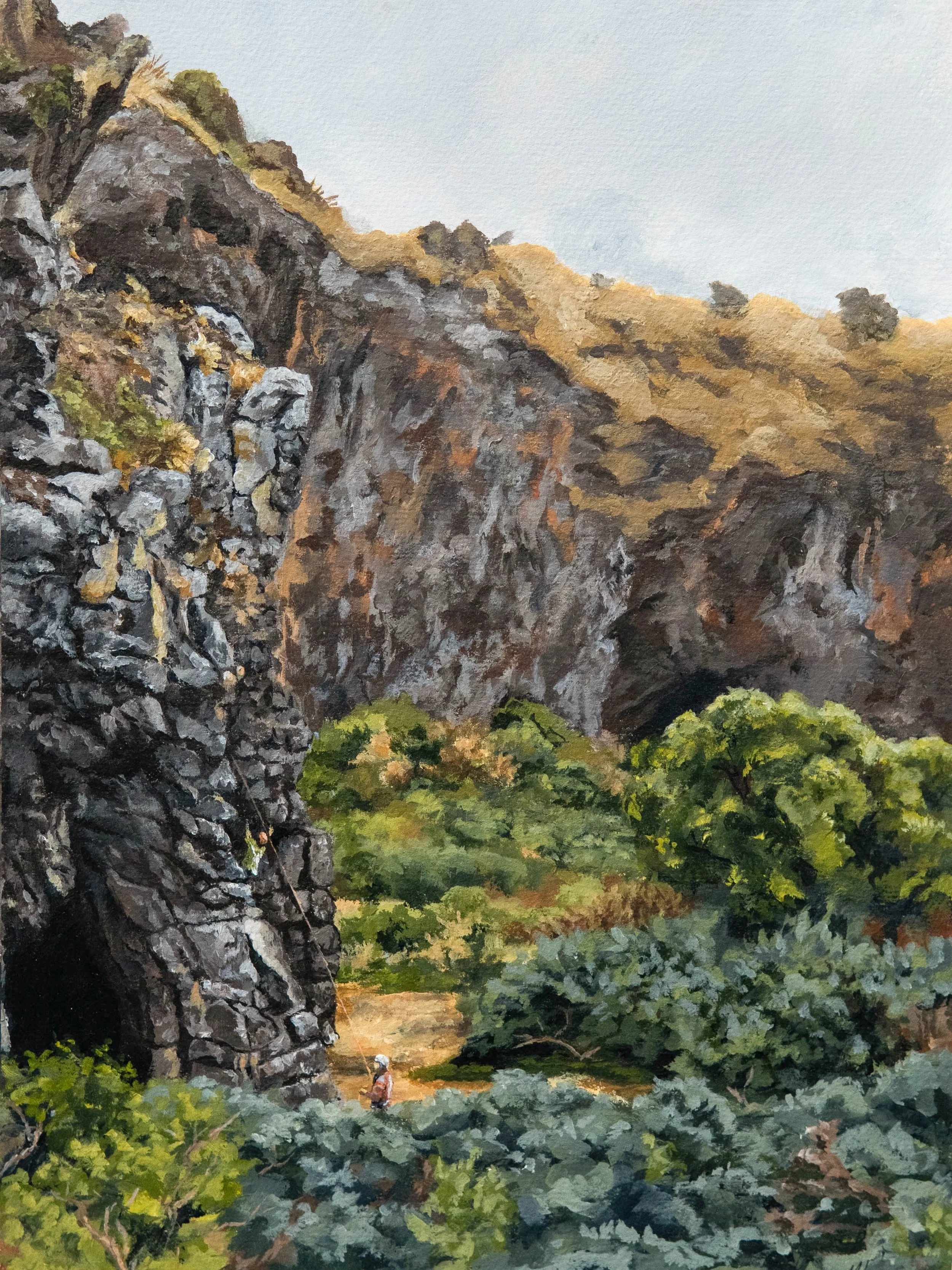 A person fishing in a stream at the base of large rocky cliffs with trees and bushes in a lush, green landscape.