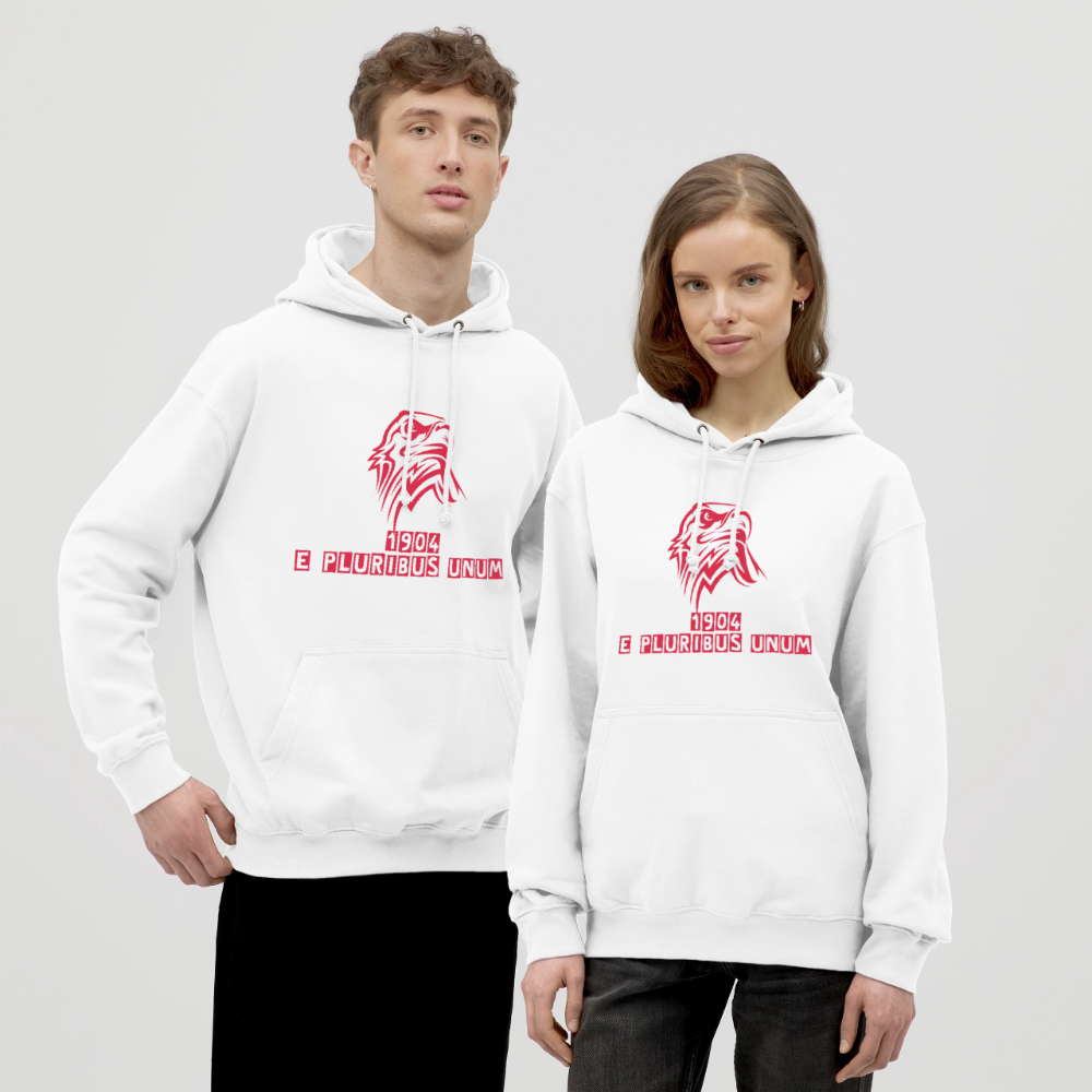 Hoodie Unissexo "BENFICA 1904 E PLURIBUS UNUM" | MT GAMING | Sport Lisboa e Benfica