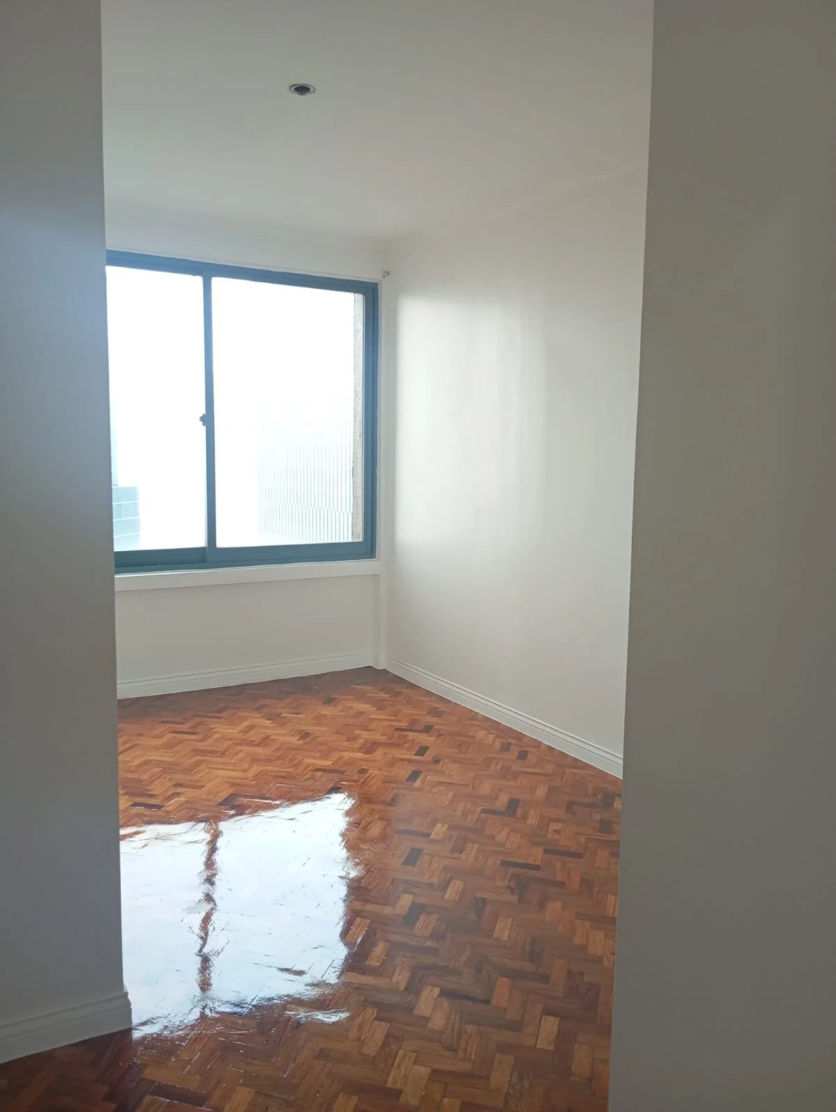 WhatsApp Image 2025-12-18 at 11.15.16 AM.jpeg