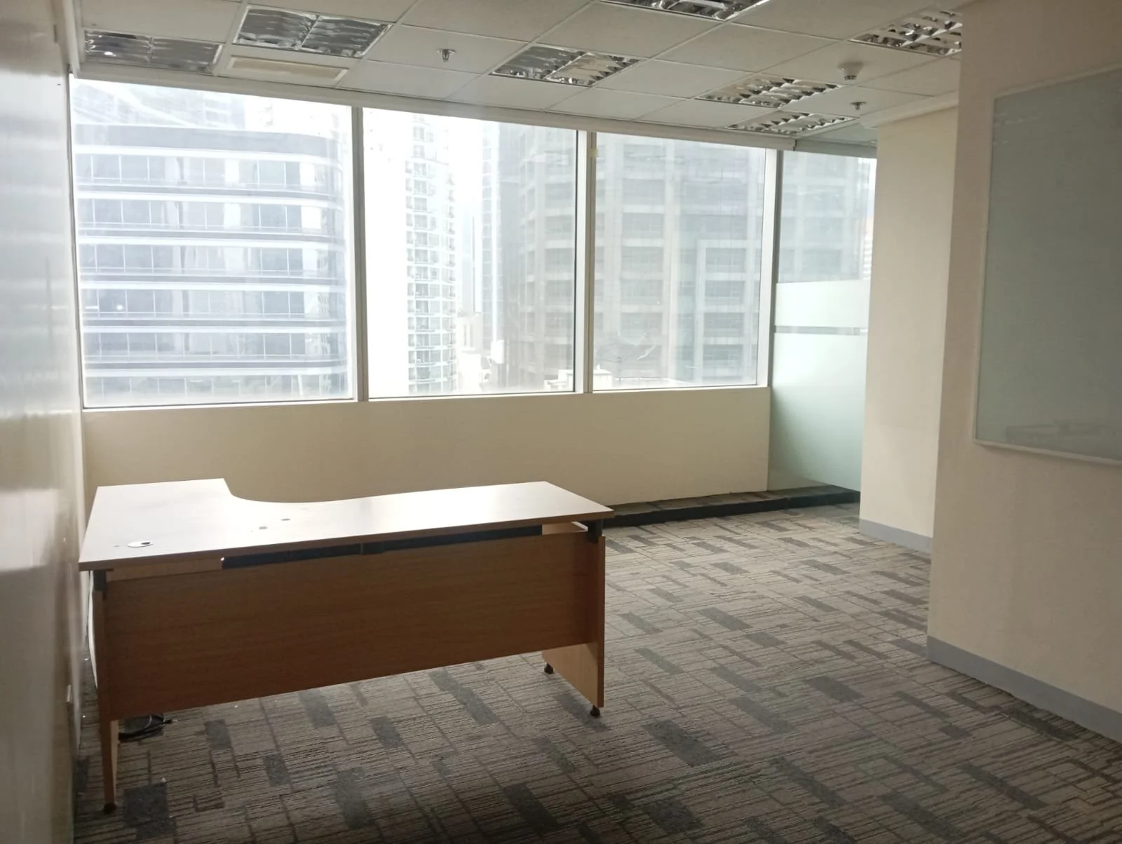 WhatsApp Image 2026-01-20 at 11.02.15 AM.jpeg