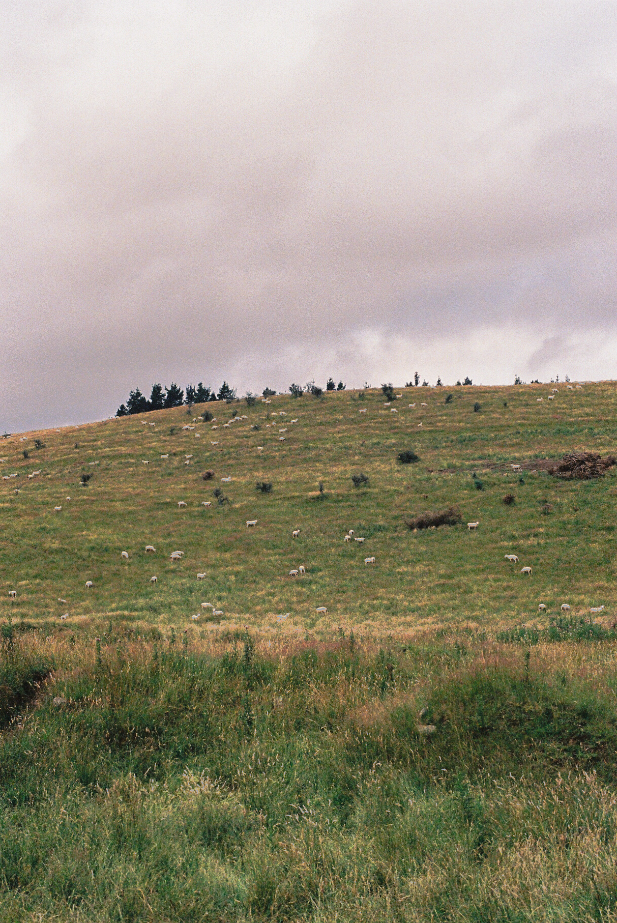maro film-6.png