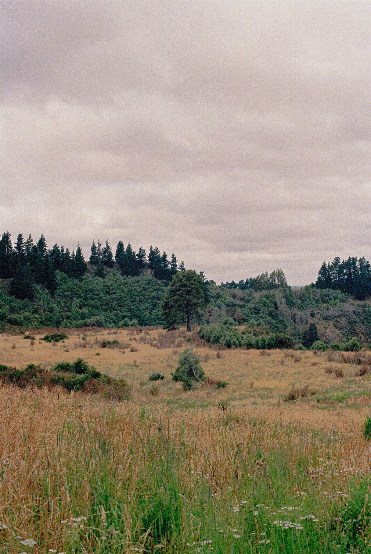 maro film-38.png