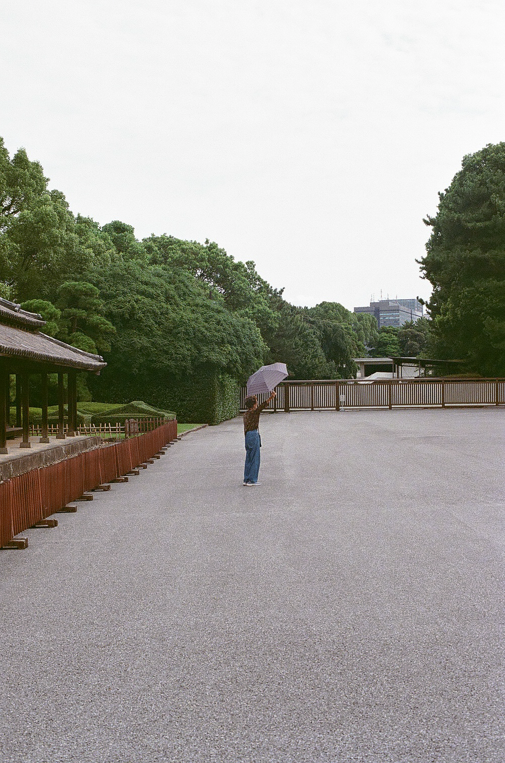 maro film-11.png