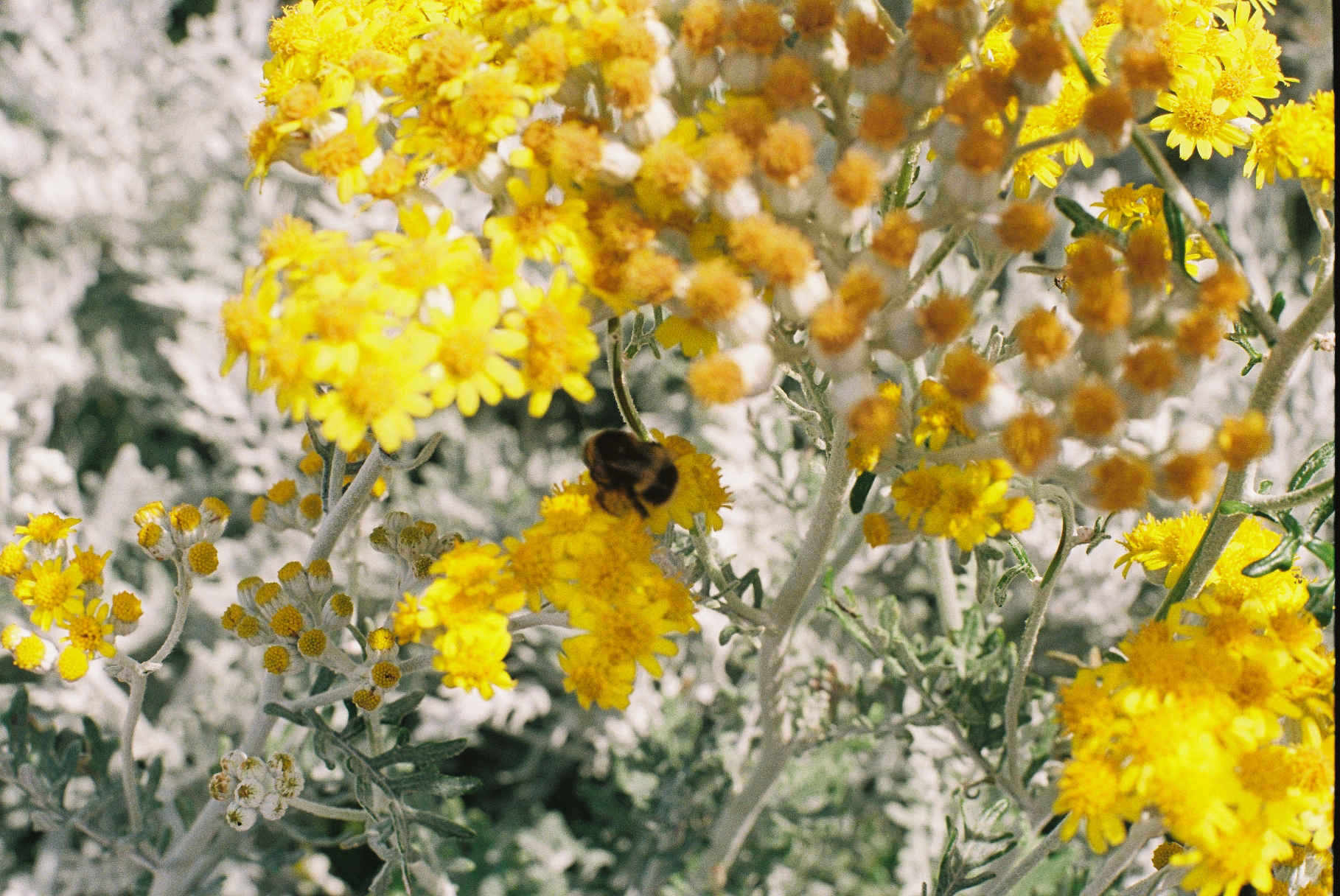 maro film-62.png