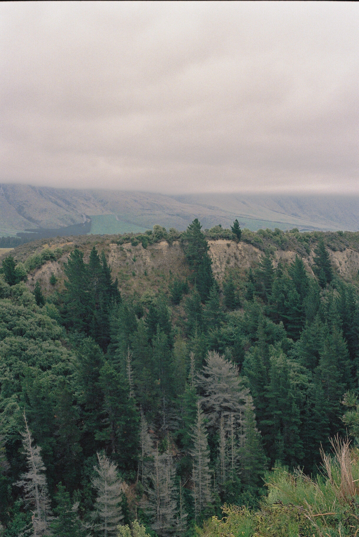 maro film-42.png