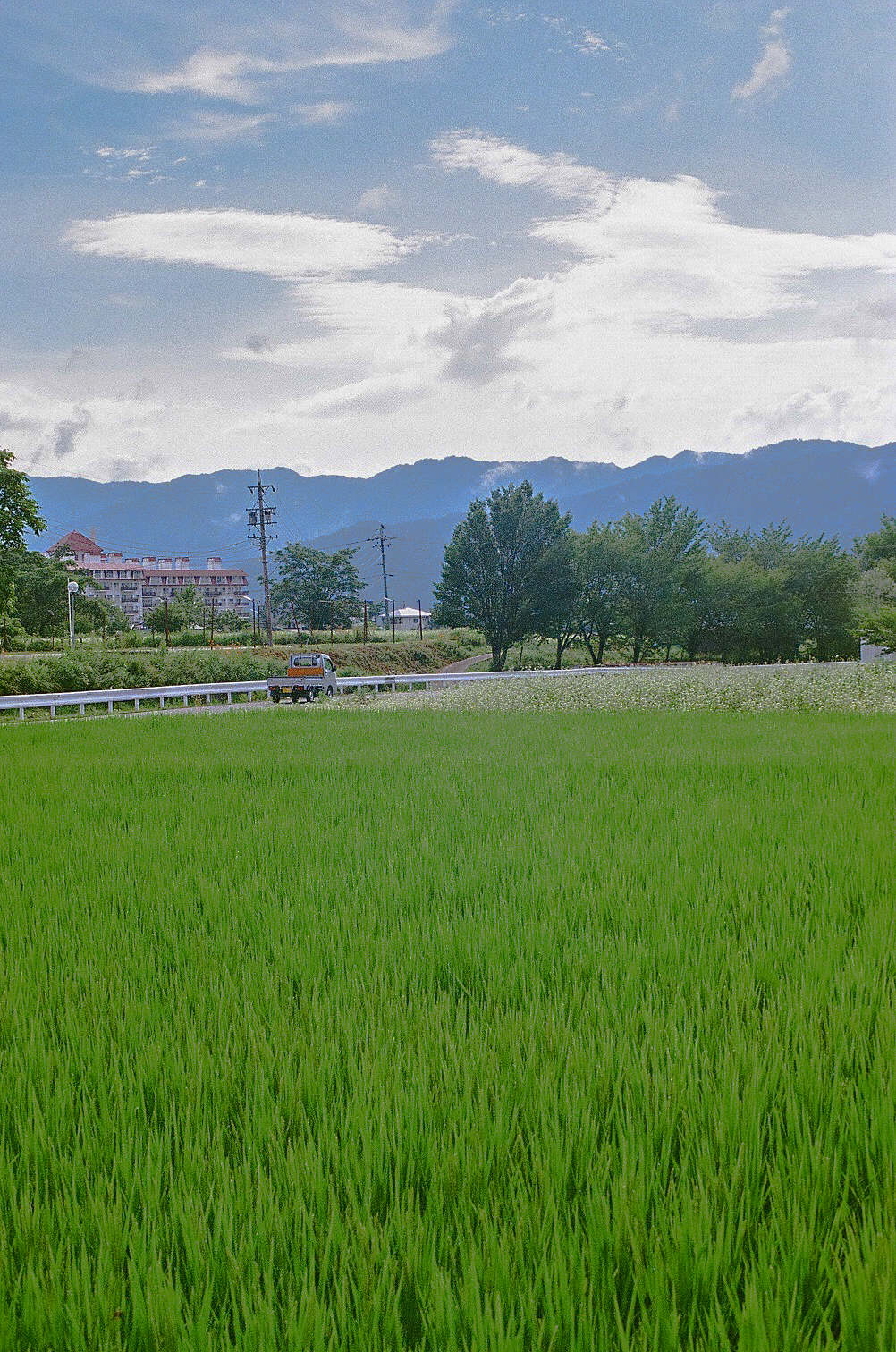 maro film-5.png
