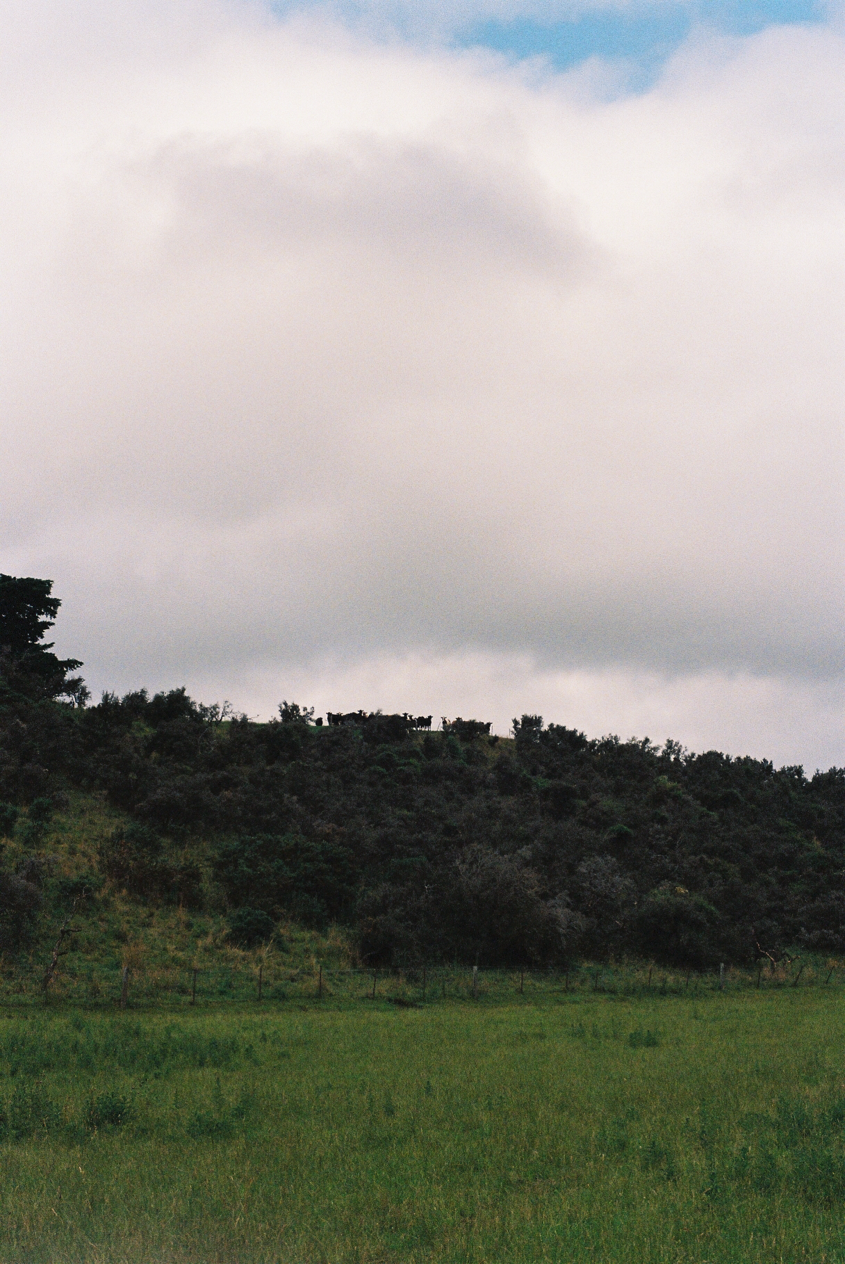 maro film-34.png