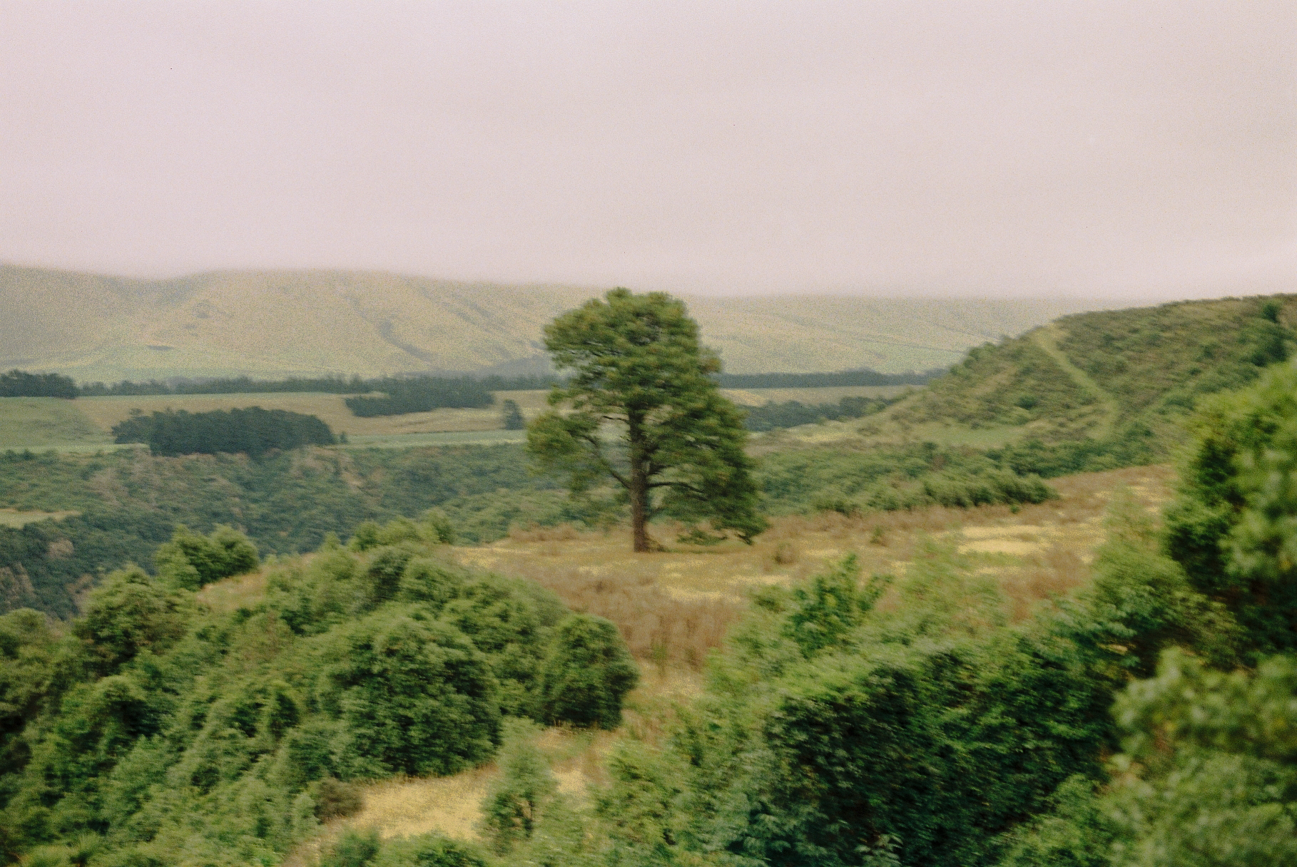 maro film-35.png