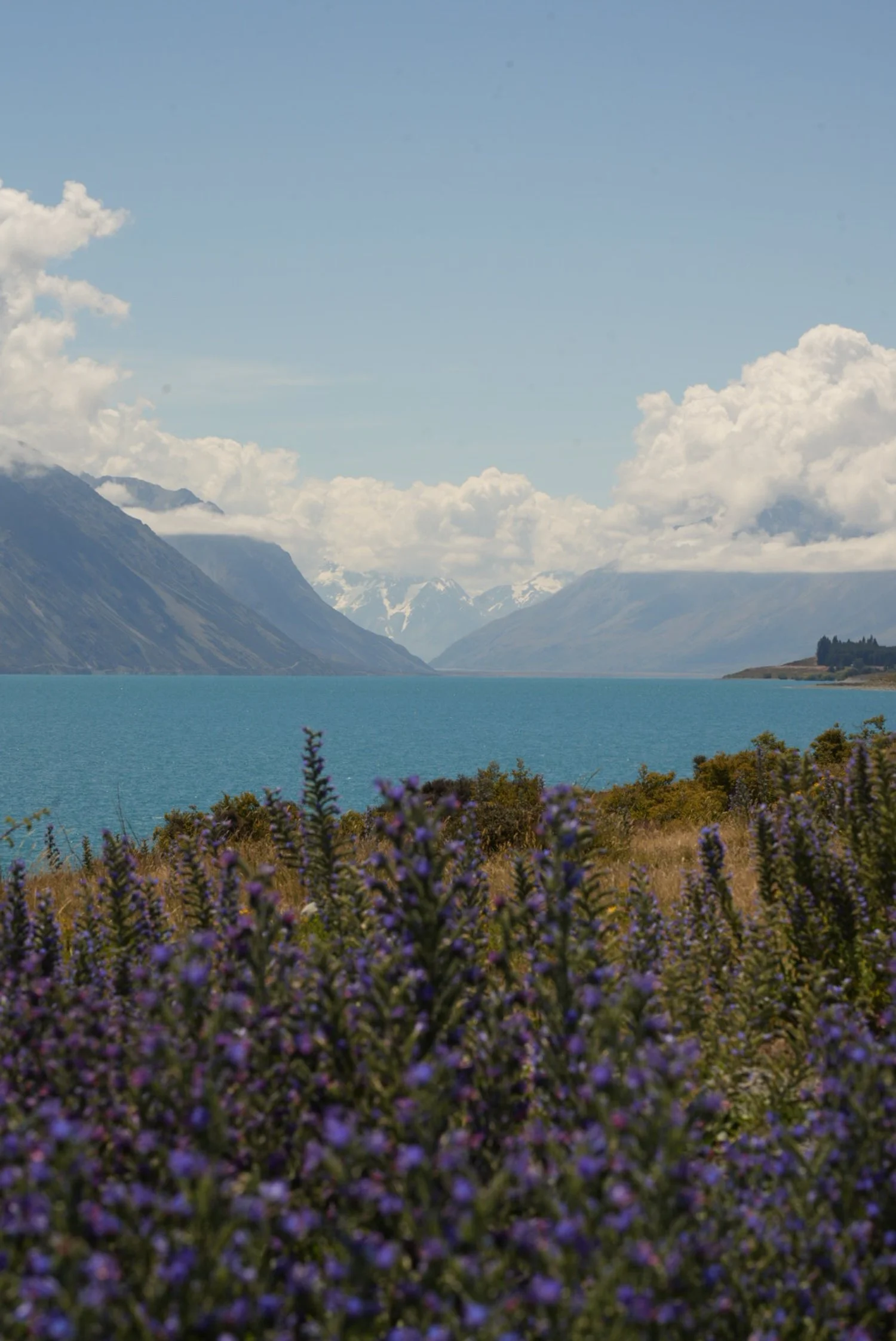 A scenic view of a turquoise lake surrounded by mountain ranges with snow-capped peaks and lush vegetation, and purple flowers in the foreground.