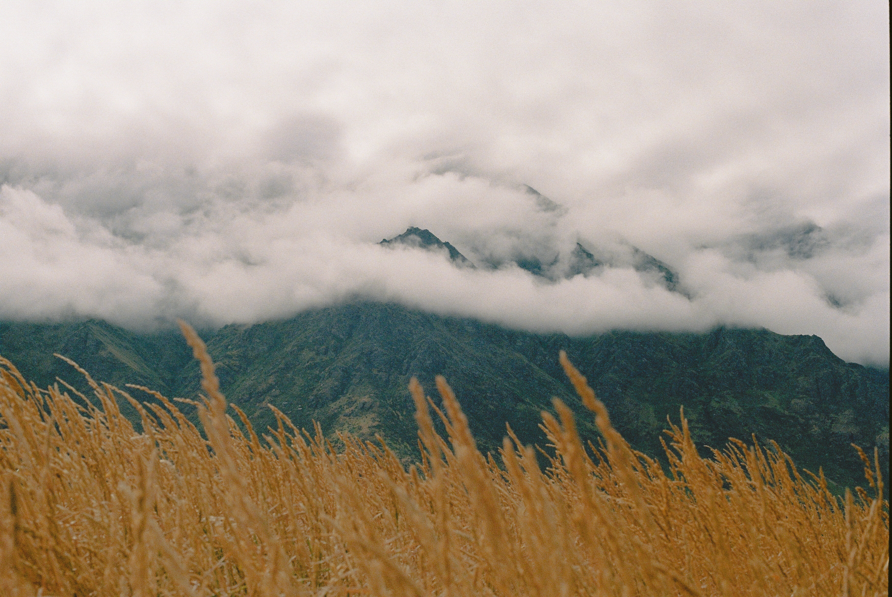 New Zealand on 35mm