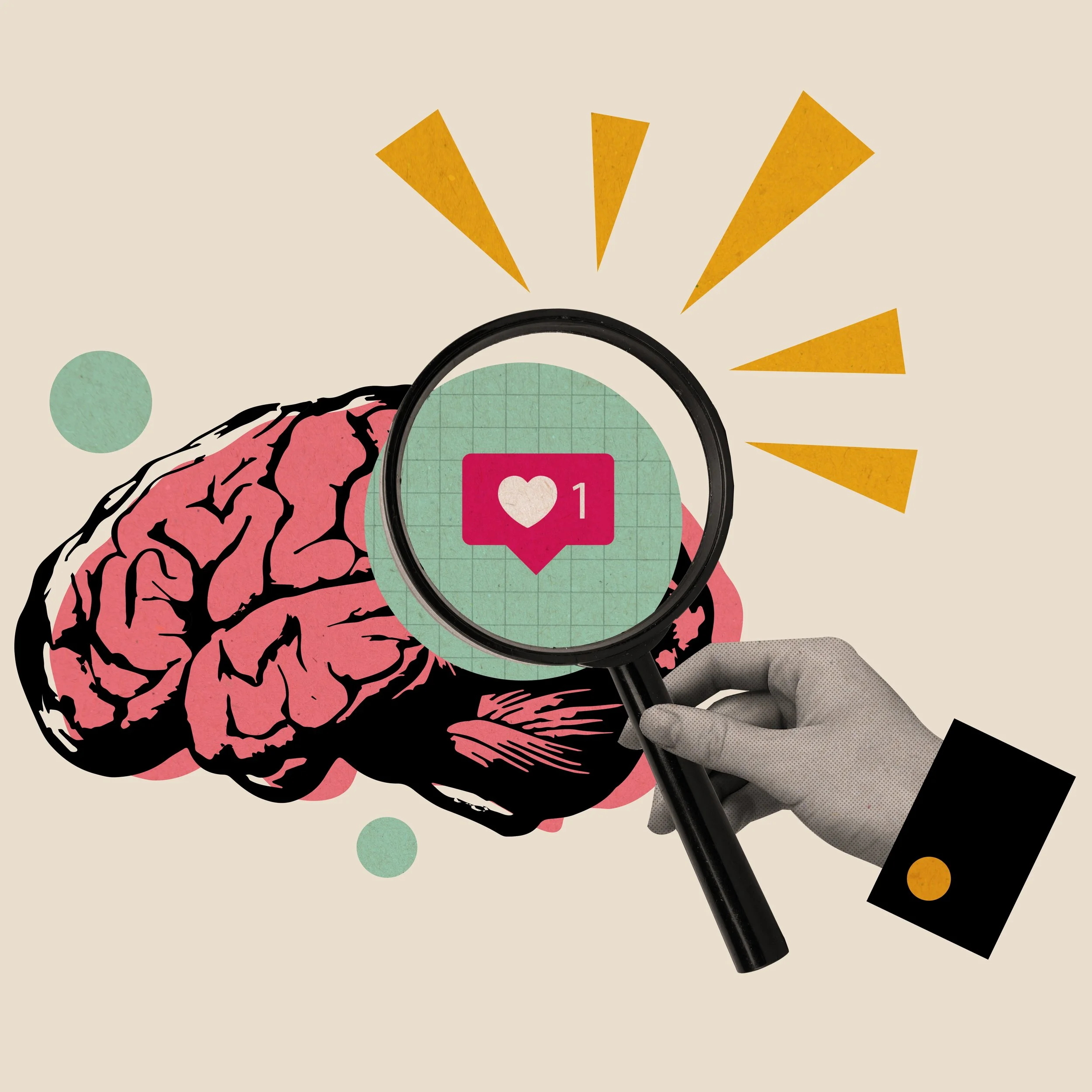 food photography , stormbreak media, media company, photography, product photography, interior photography, fashion photography, menu shoot, menu photography, social media, lifestyle photography, automotive photography, content creation, videography