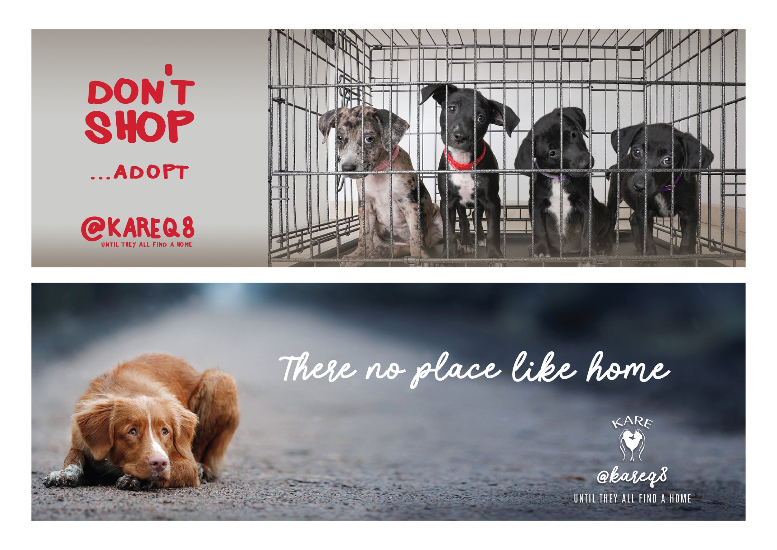 A collage of two images promoting dog adoption. The top image shows four young puppies inside a metal crate with a red message that reads "DON'T SHOP ...ADOPT @KAREQ8 UNTIL THEY ALL FIND A HOME." The bottom image features a brown dog lying on the gro