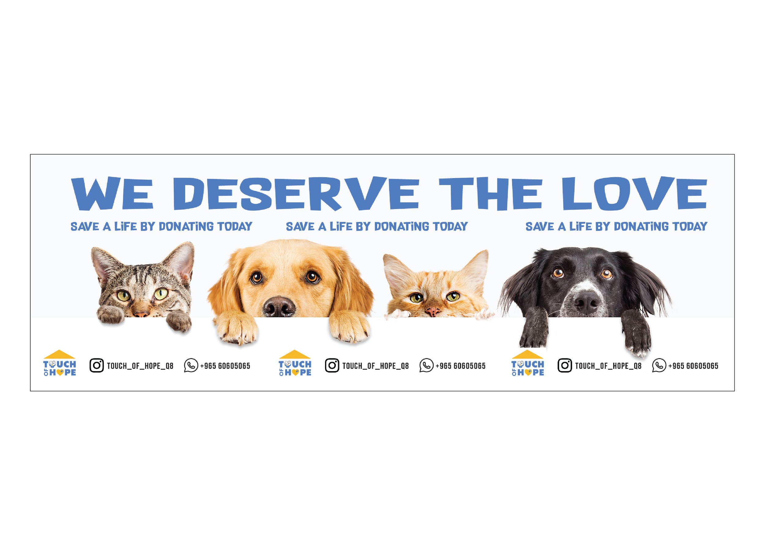 Animal rescue poster with pictures of a cat, dog, and two cats with message about love and donation for animal adoption.