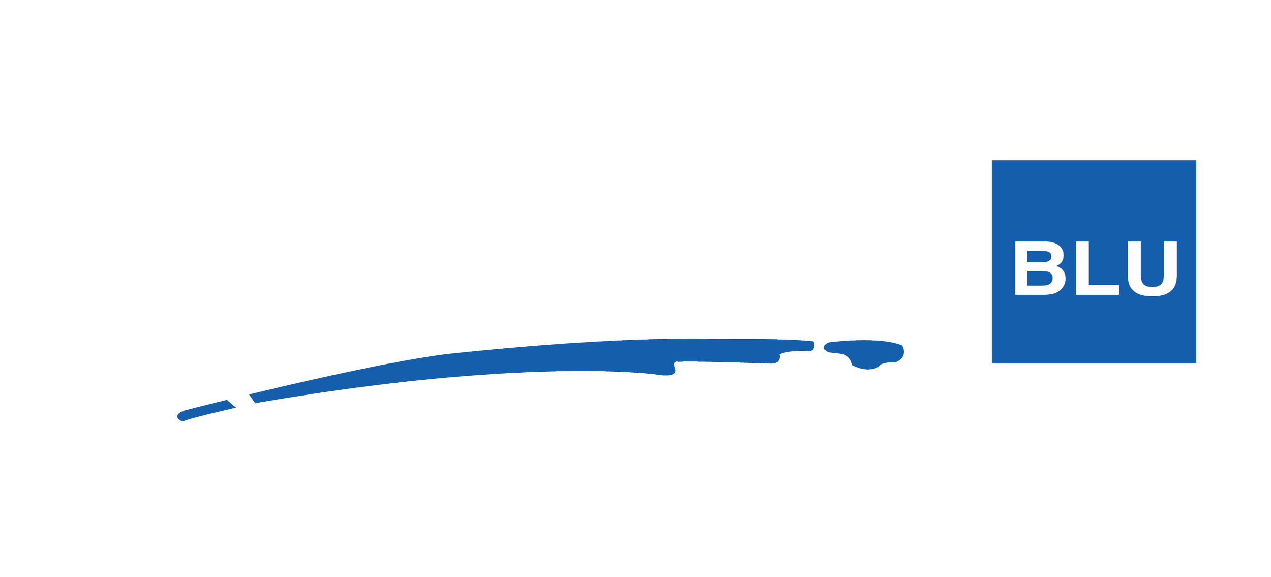 Diagram of a shipping container with a large blue block labeled 'BLU' on the right side.