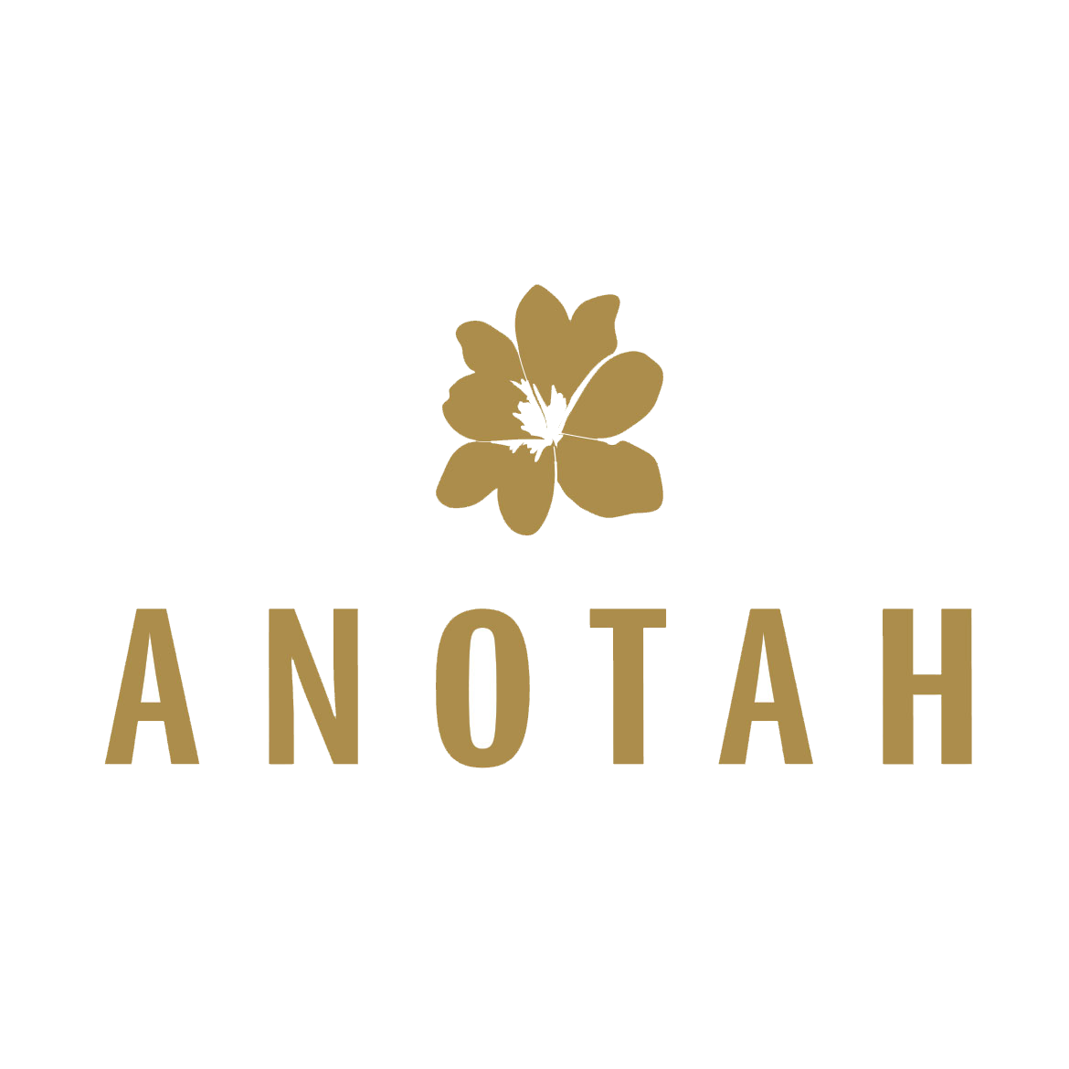 Logo with a stylized flower above the word 'ANOAH' in gold lettering on a white background.