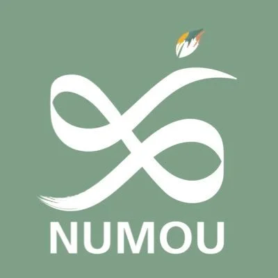 Logo featuring a stylized white infinity symbol with a flame at the top right and the word 'NUMOU' below, against a green background.