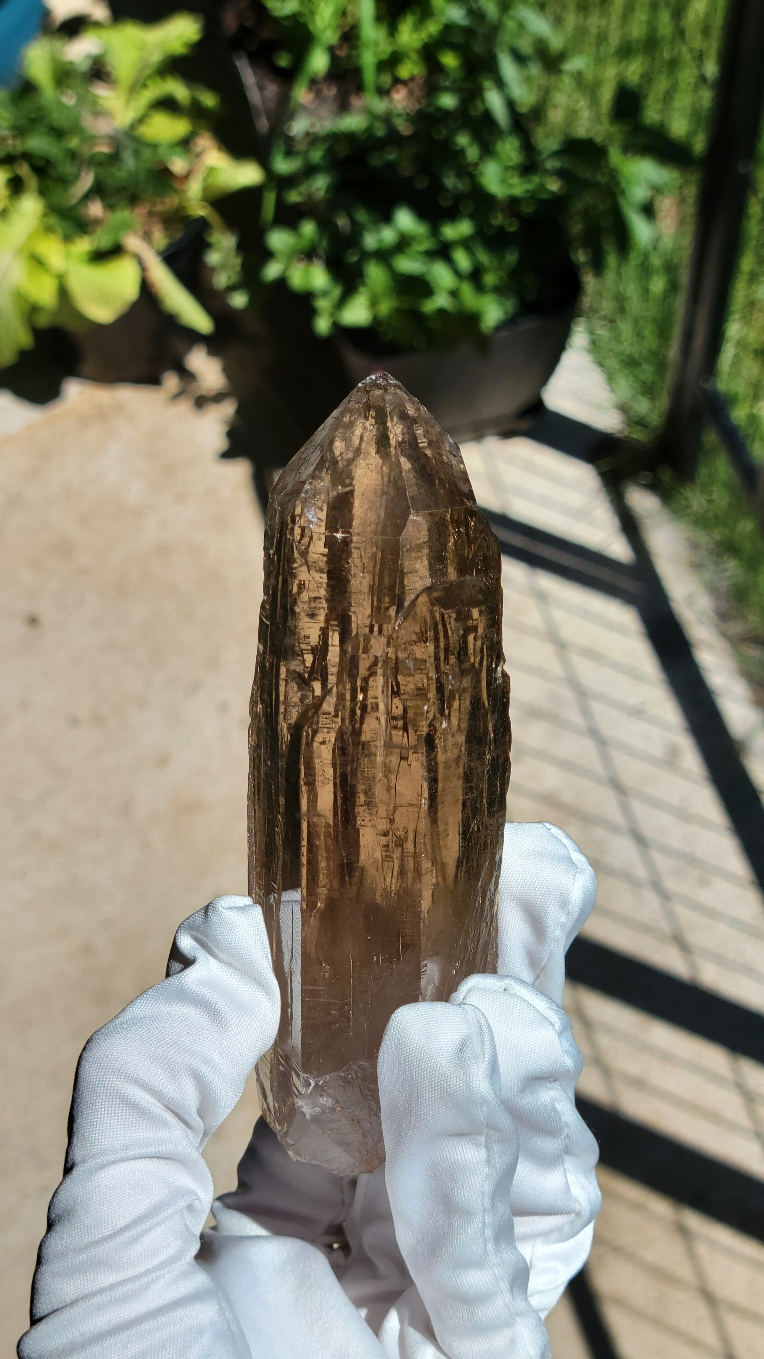 235g LARGE Clear Cathedral Smoky Quartz