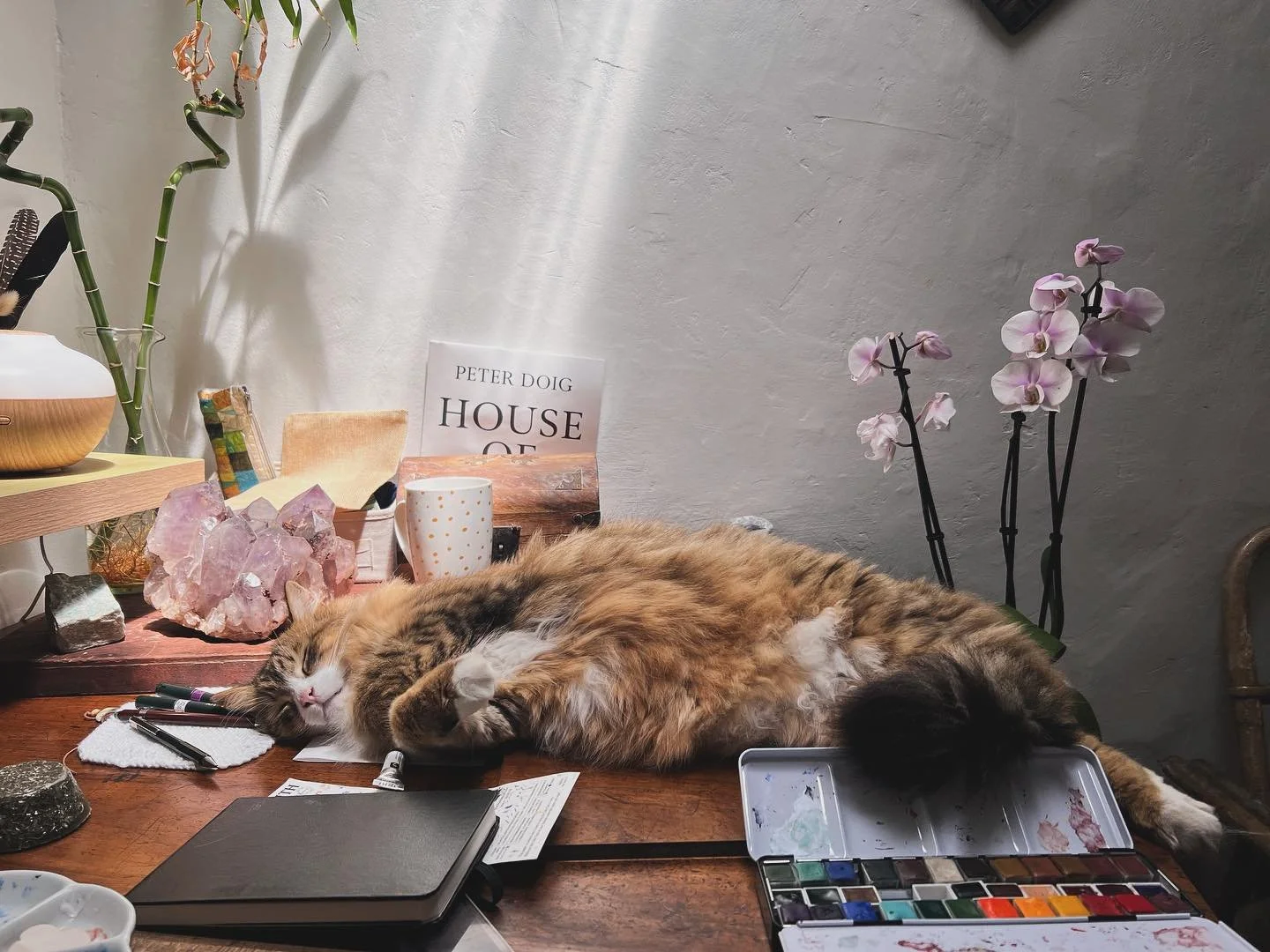 where the muses dwell&hellip; 

new finished work to be shared soon.

#artiststudio #artistsmuse #sacredspace #watercolour #houseofmusic