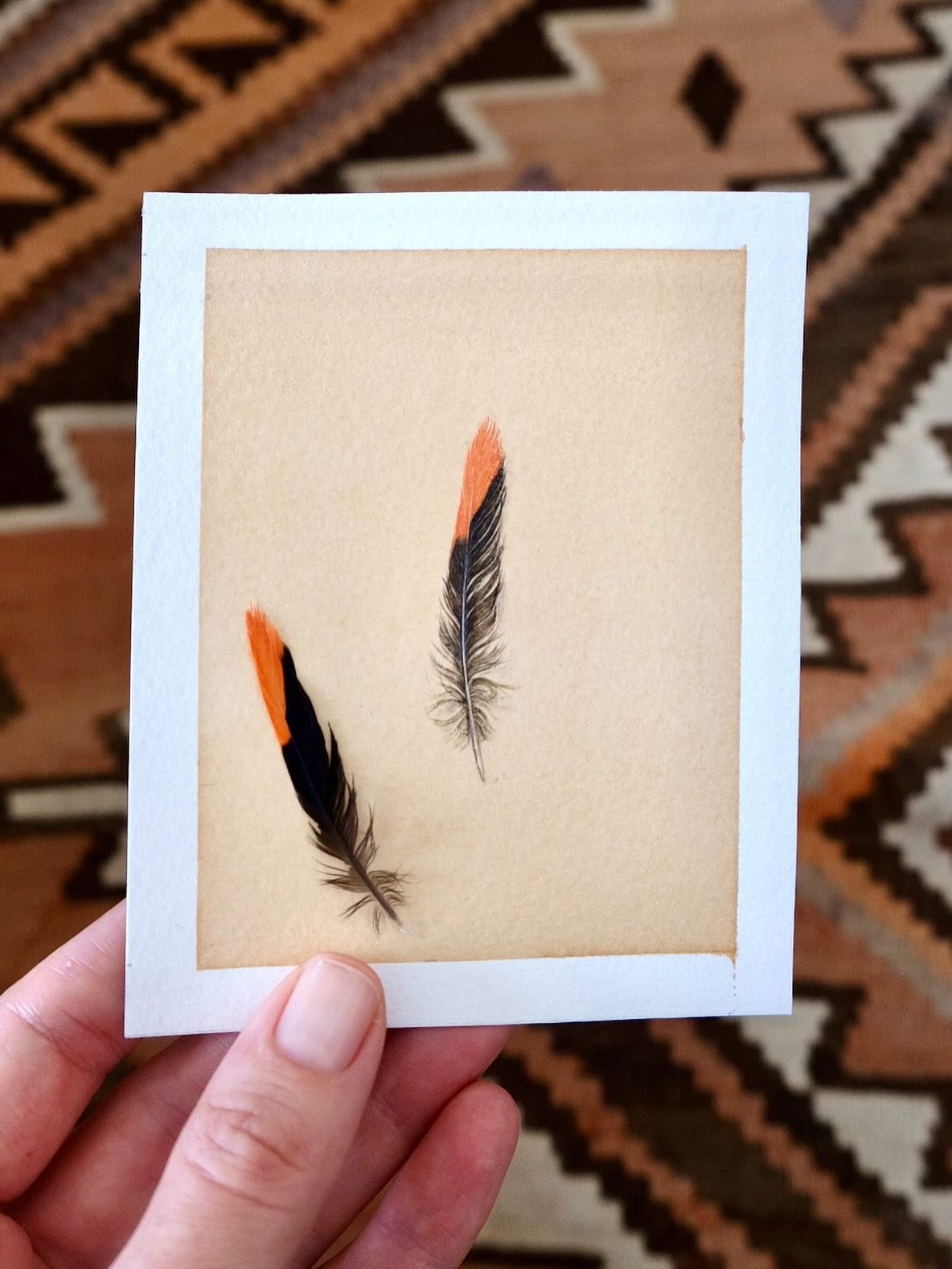 A wayshower. 

While descending from Tigers Nest monastery in Bhutan I glanced down at the path just as I uttered to a friend that I could sense a need and readiness for something to change. There, amongst some dry leaves, was this tiny vermillion ti