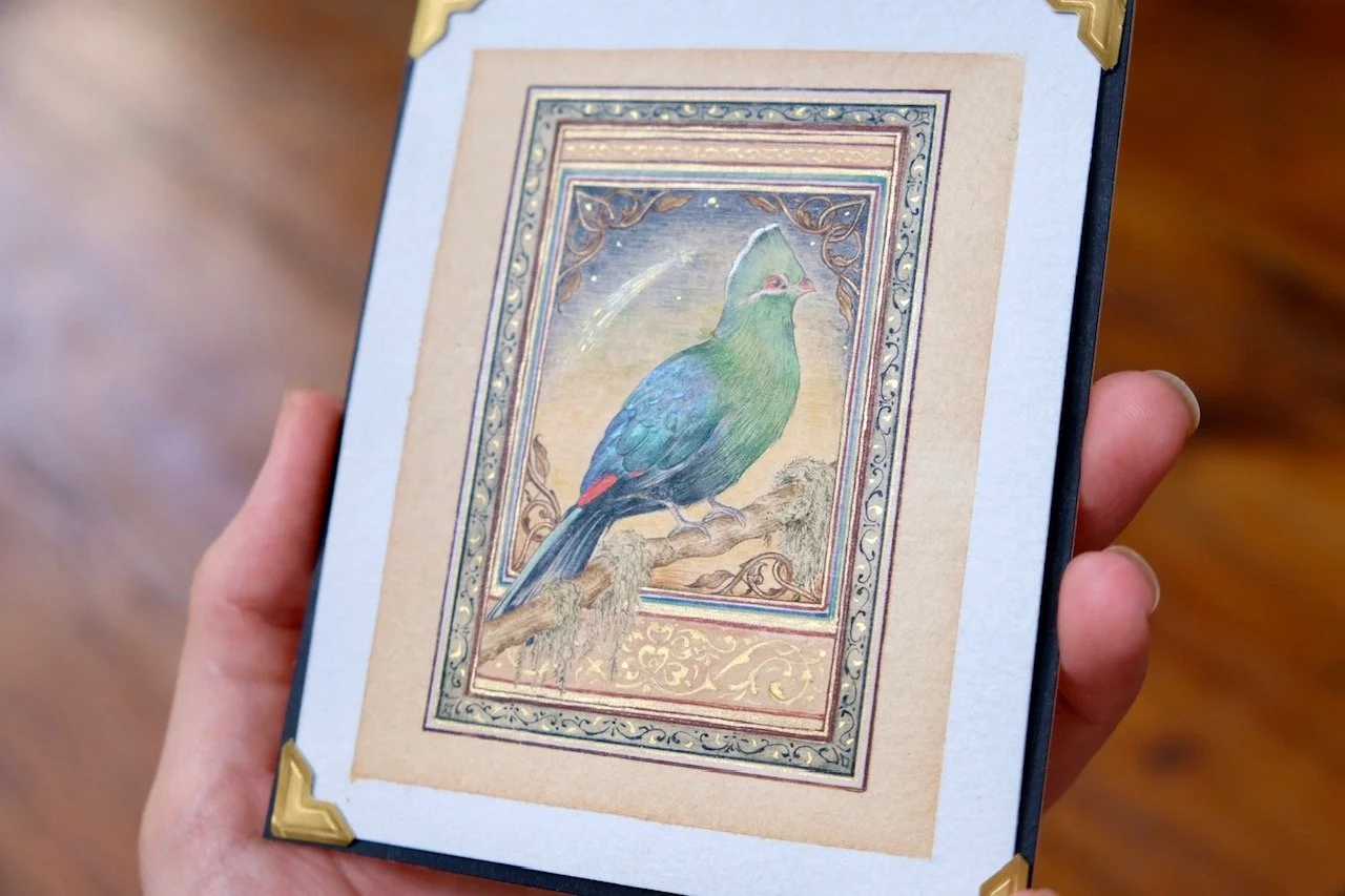 93303971-F165-4C60-847E-65EEFA9D9D1B-55200-00000B18E87C446D 1.jpg