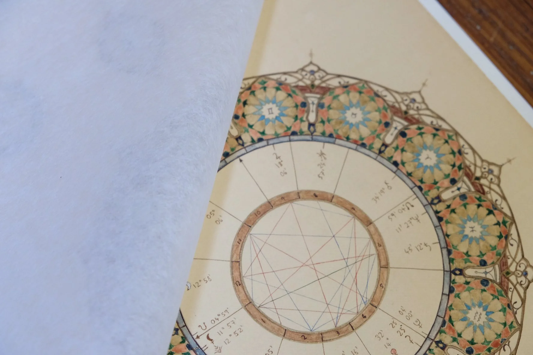 8B64D8E8-23EE-46AF-AD10-BCAA2D704F20-46166-00001CAC185FC99E (1).jpg