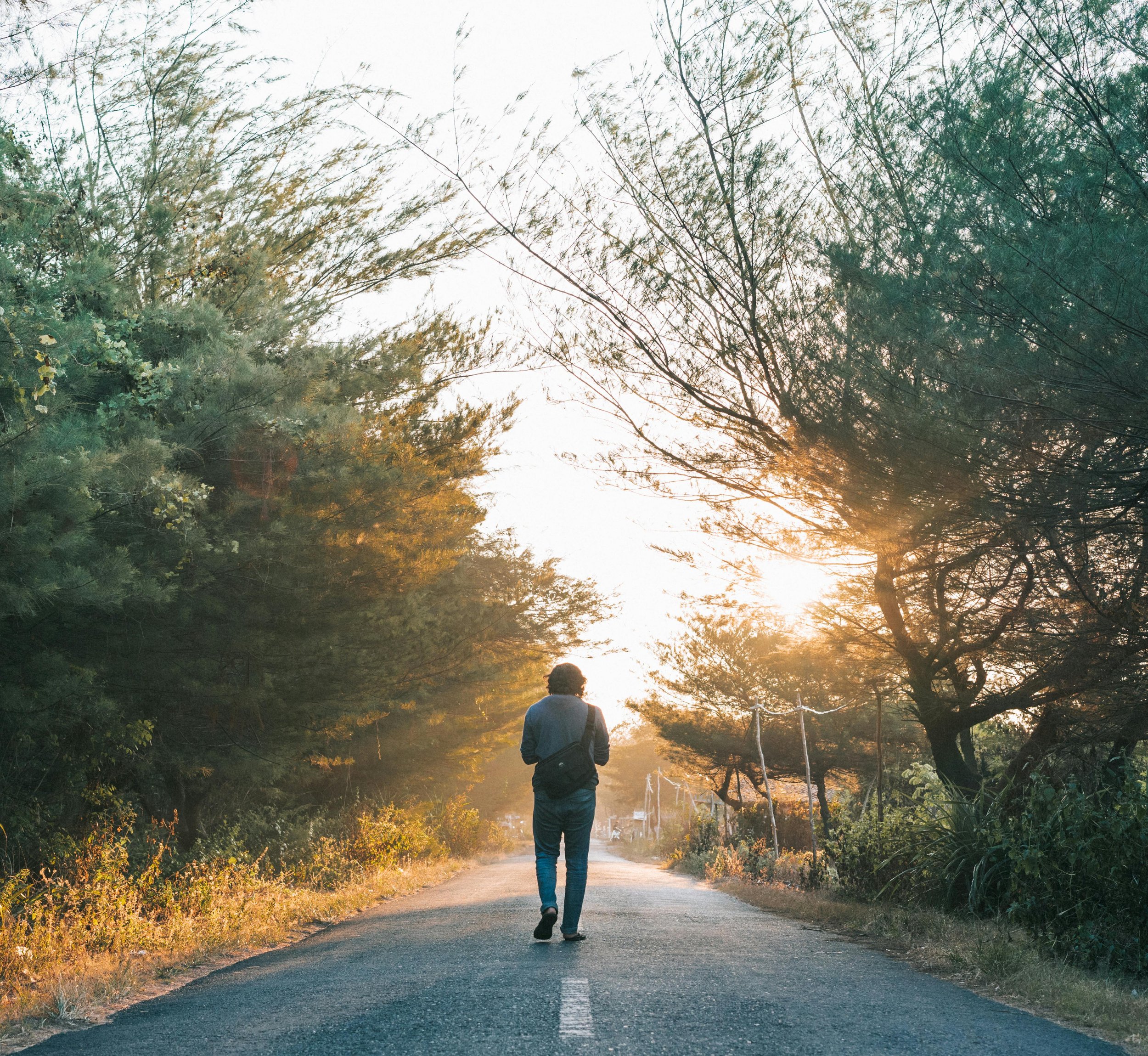 Person walking along a tree-lined road during sunset, carrying a backpack.