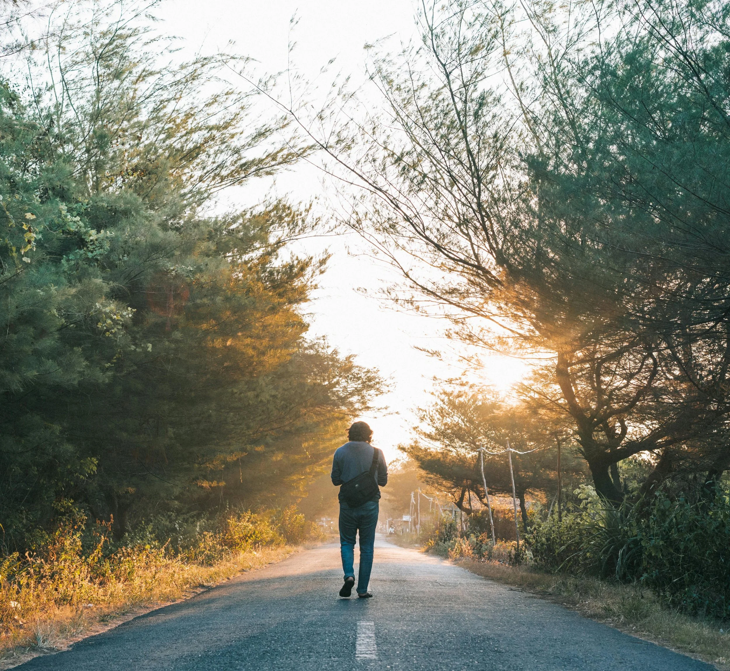 Person walking down a country road lined with trees during sunset.