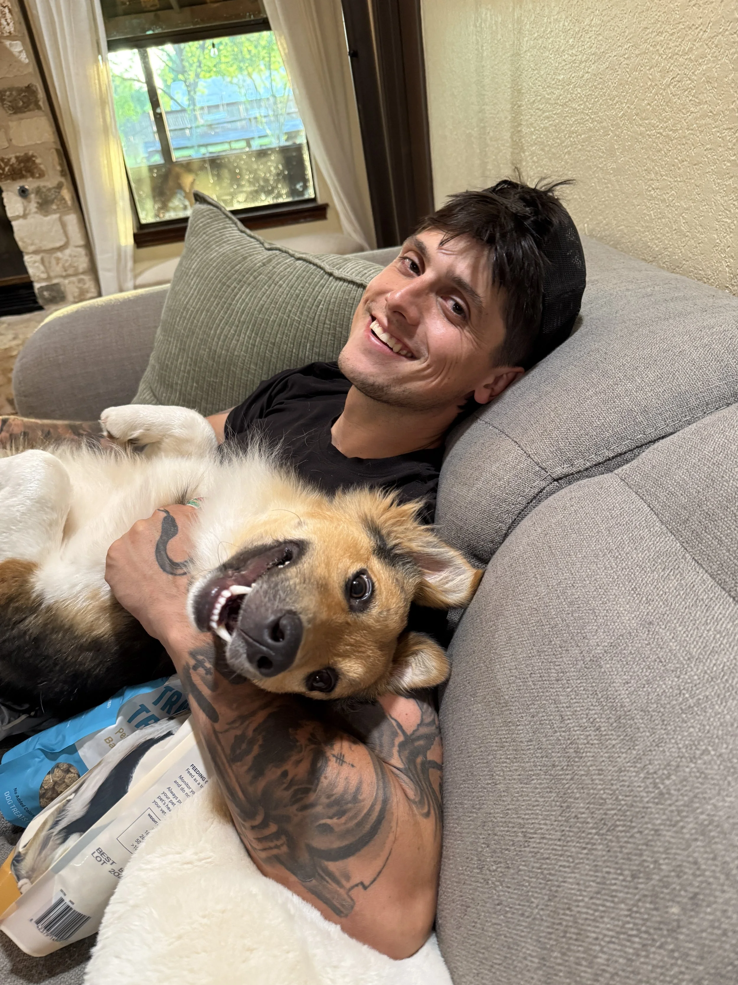 Dogs With Jag's personal in home board and train program