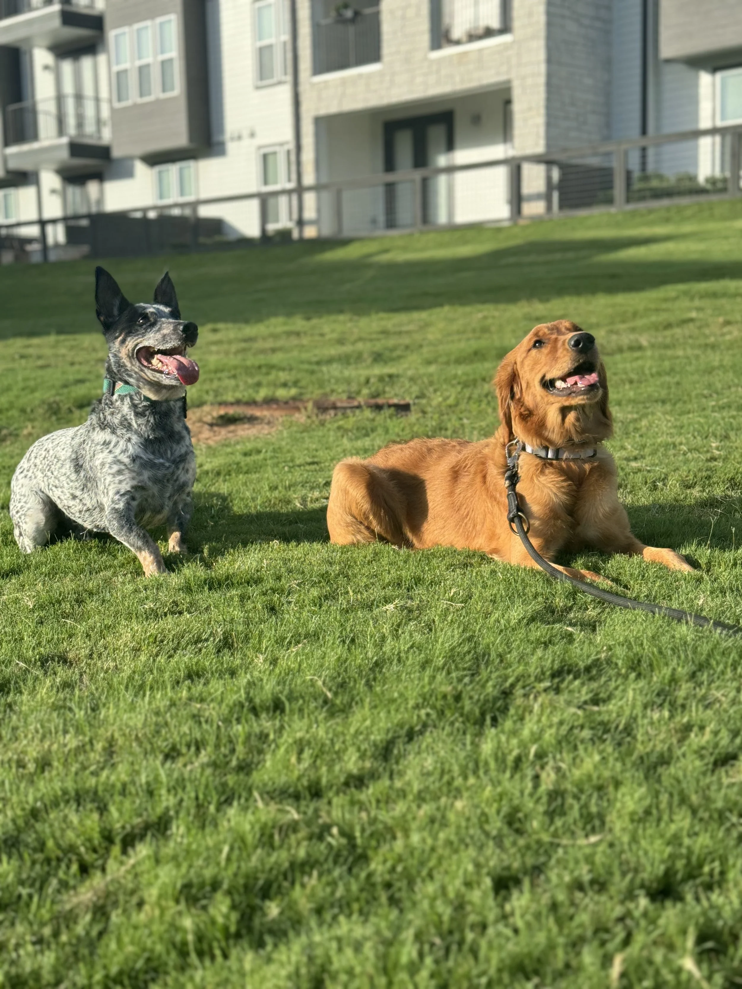 IMG_9621 1.jpeg (Copy)