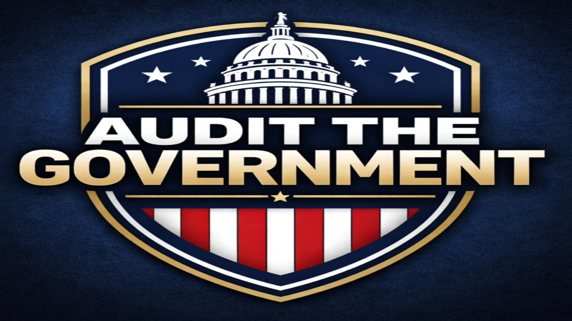 Audit The Government logo and backdrop