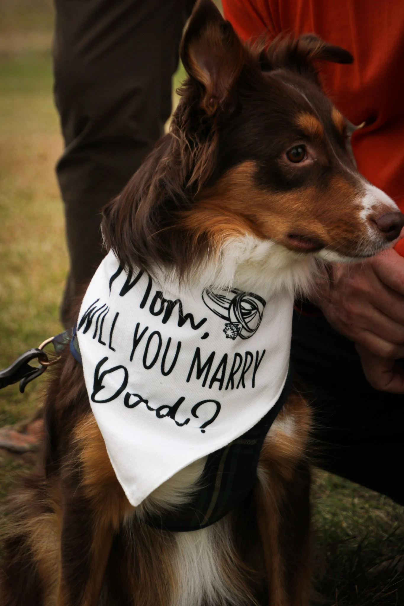 Georgia Sam Edit 2-48.jpg