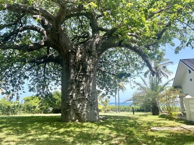 Through Tanzania – Where It Finally Begins