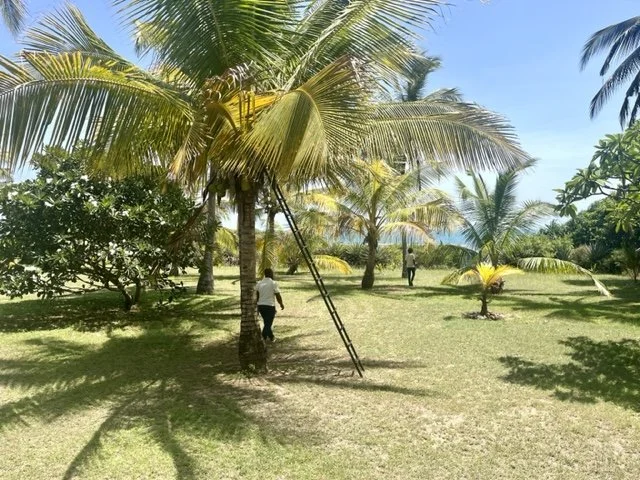 Next Blog Is Coming Soon…