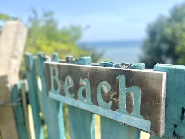 Why We Don’t Focus on Safaris